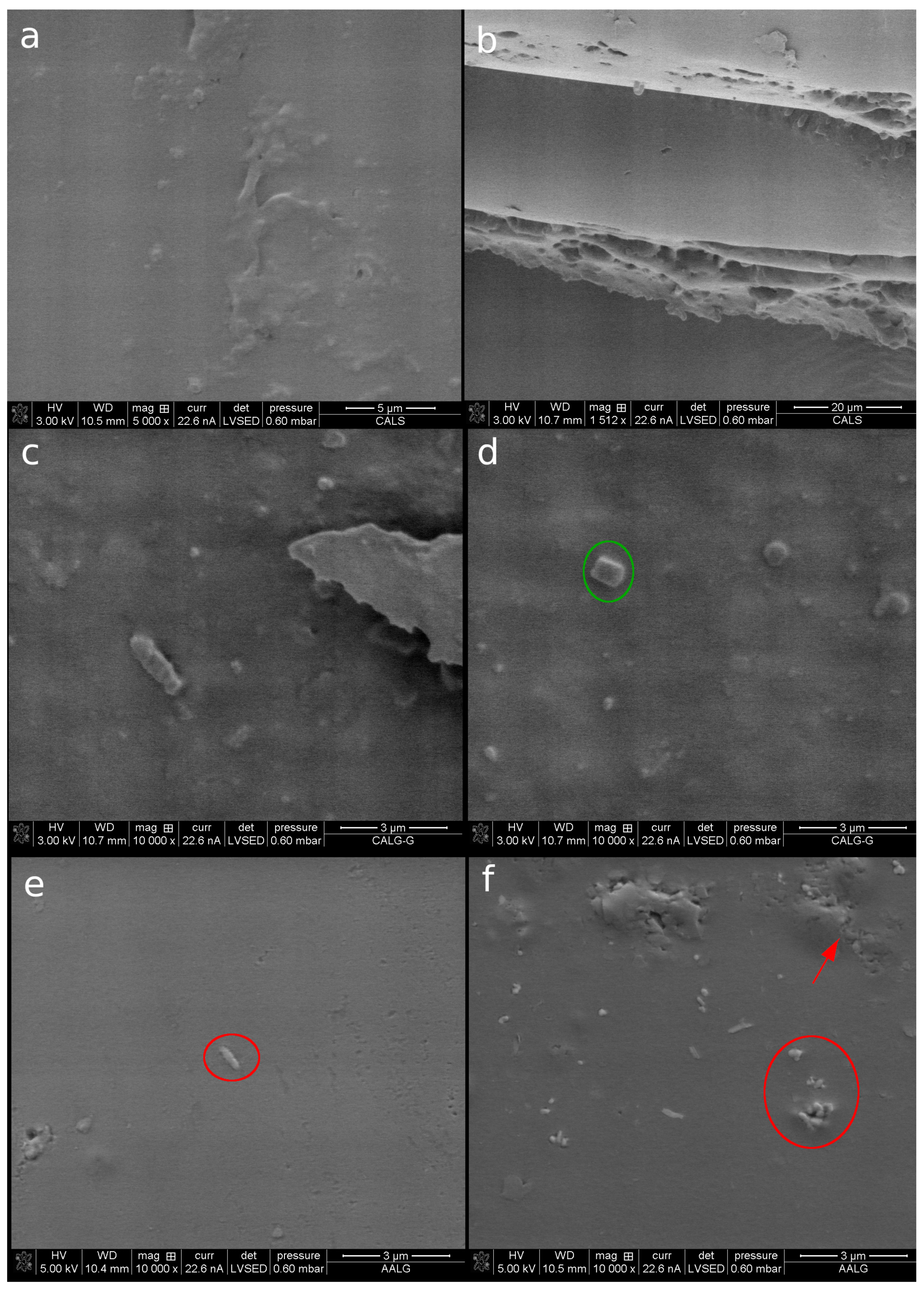 Coatings 11 00605 g006 Coatings 11 00605 g006