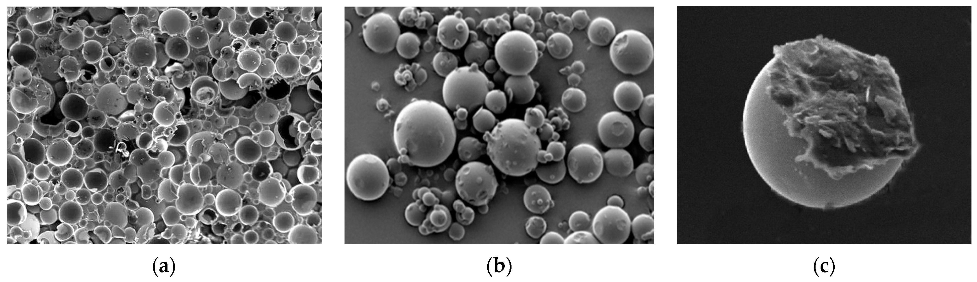 Coatings 11 00616 g010 Coatings 11 00616 g010