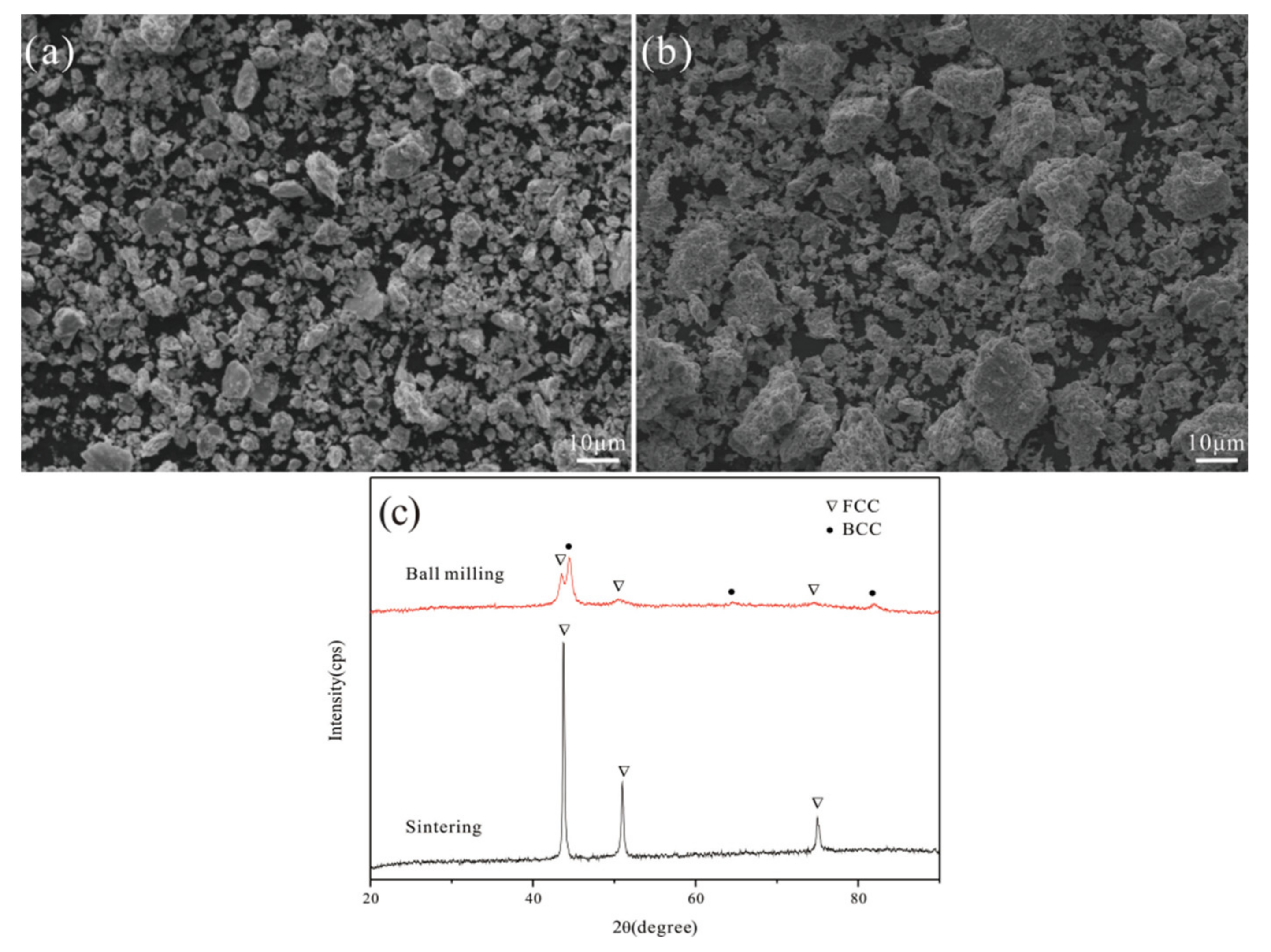 Coatings 11 00622 g002