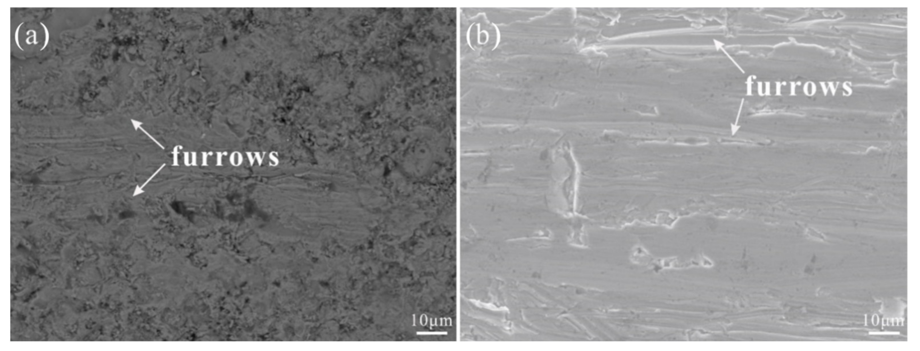 Coatings 11 00622 g005