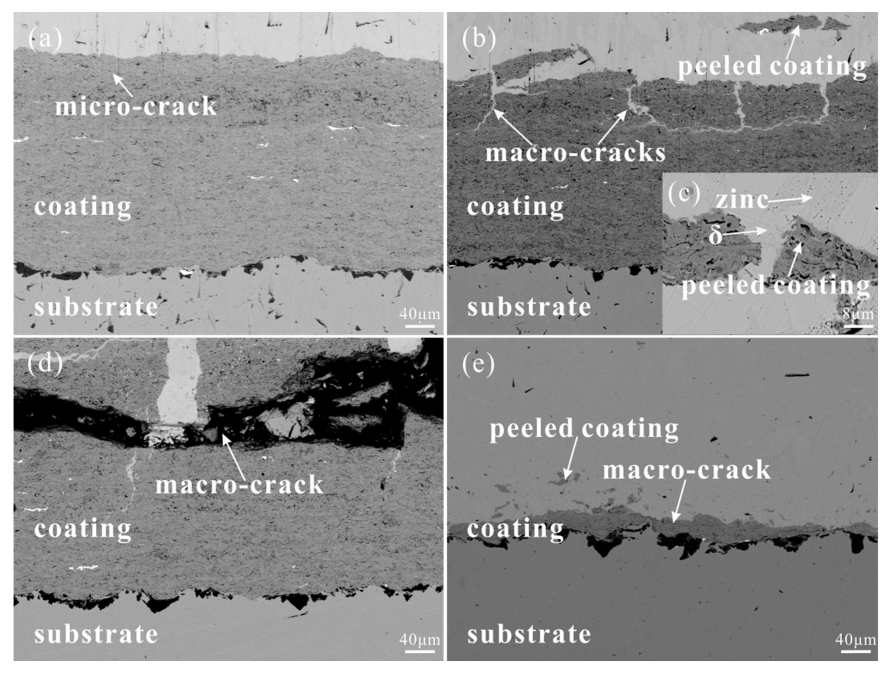 Coatings 11 00622 g008