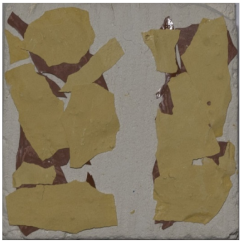 Coatings 11 00624 i016 Coatings 11 00624 i016