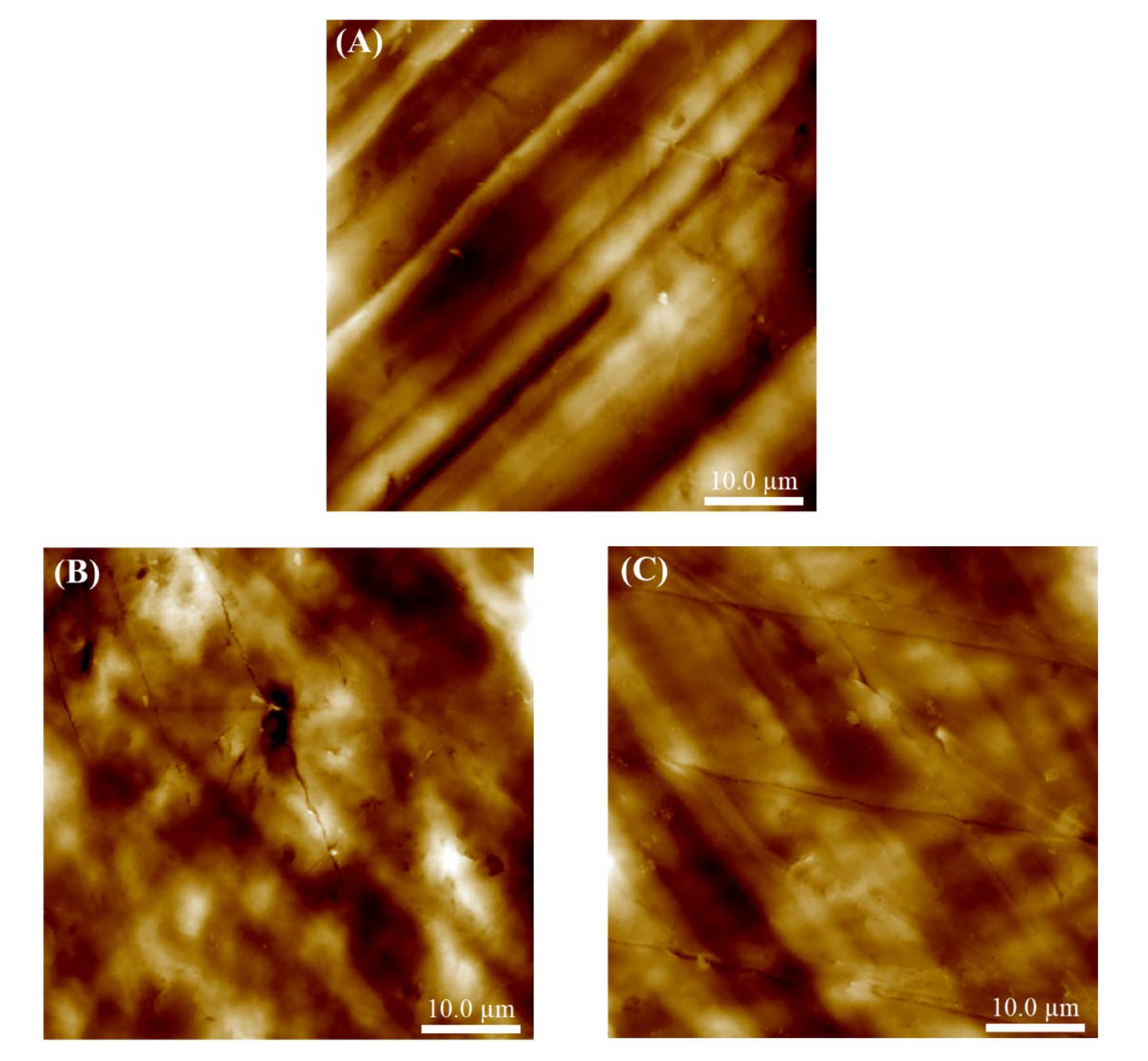 Coatings 11 00630 g001 Coatings 11 00630 g001