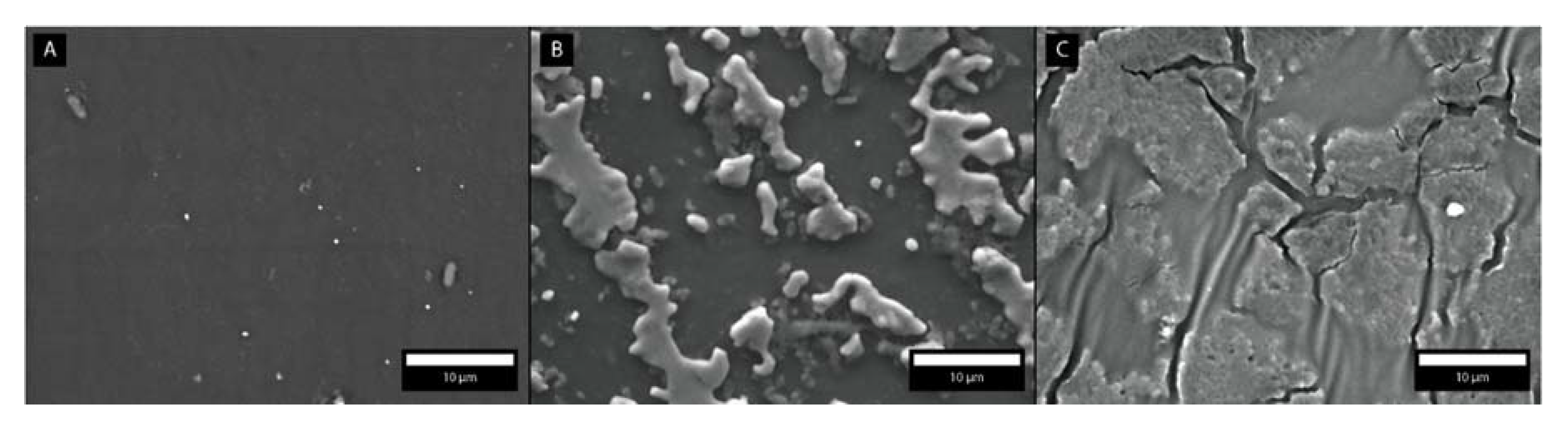 Coatings 11 00630 g005 Coatings 11 00630 g005