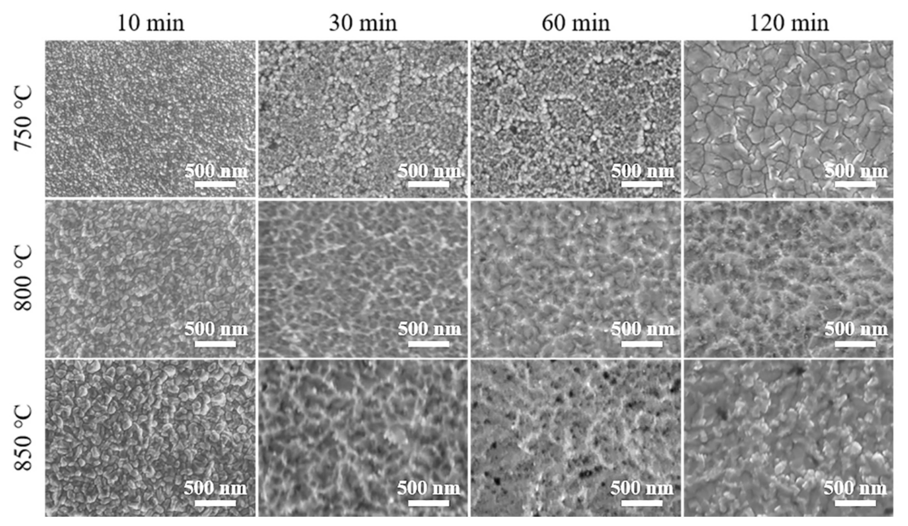 Coatings 11 00631 g001