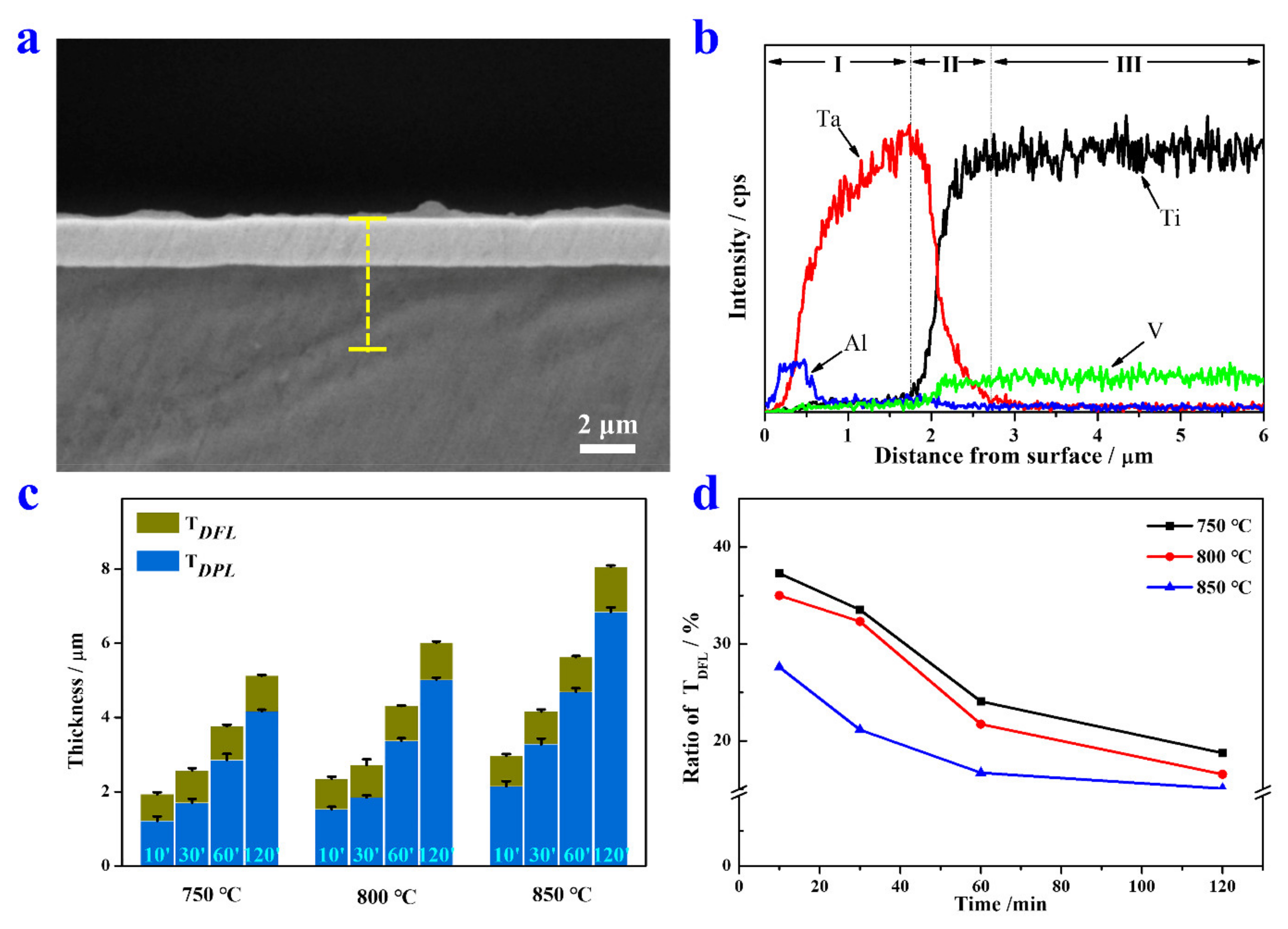Coatings 11 00631 g002