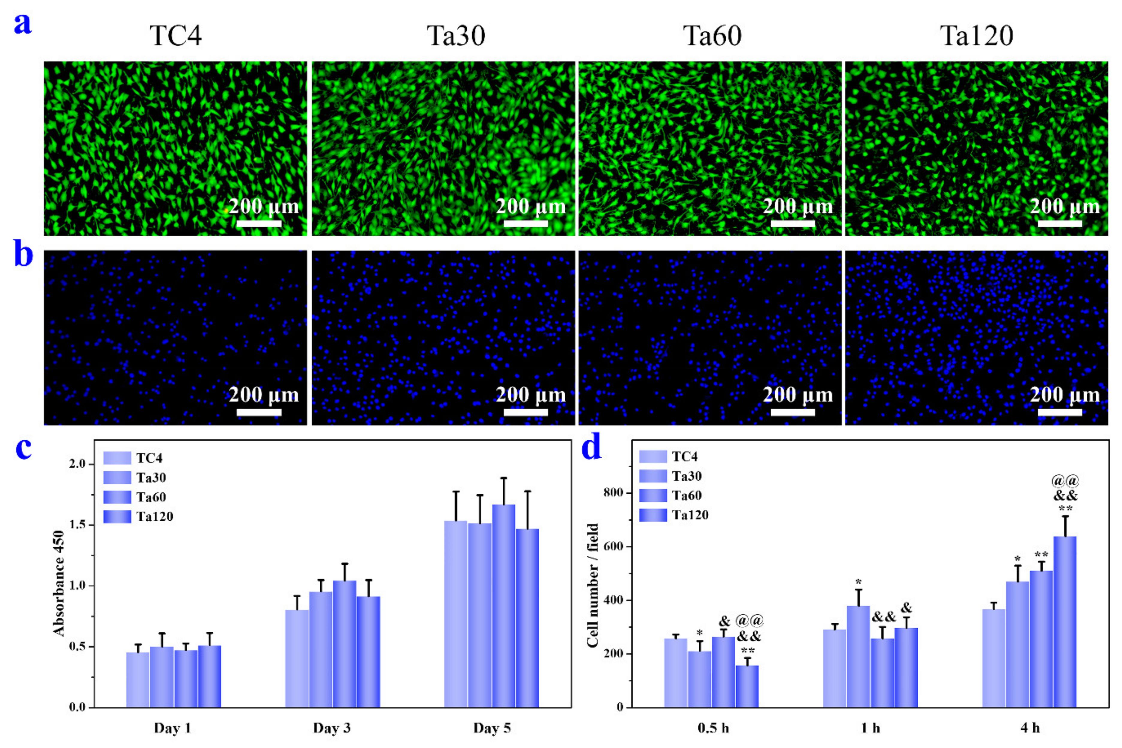 Coatings 11 00631 g007