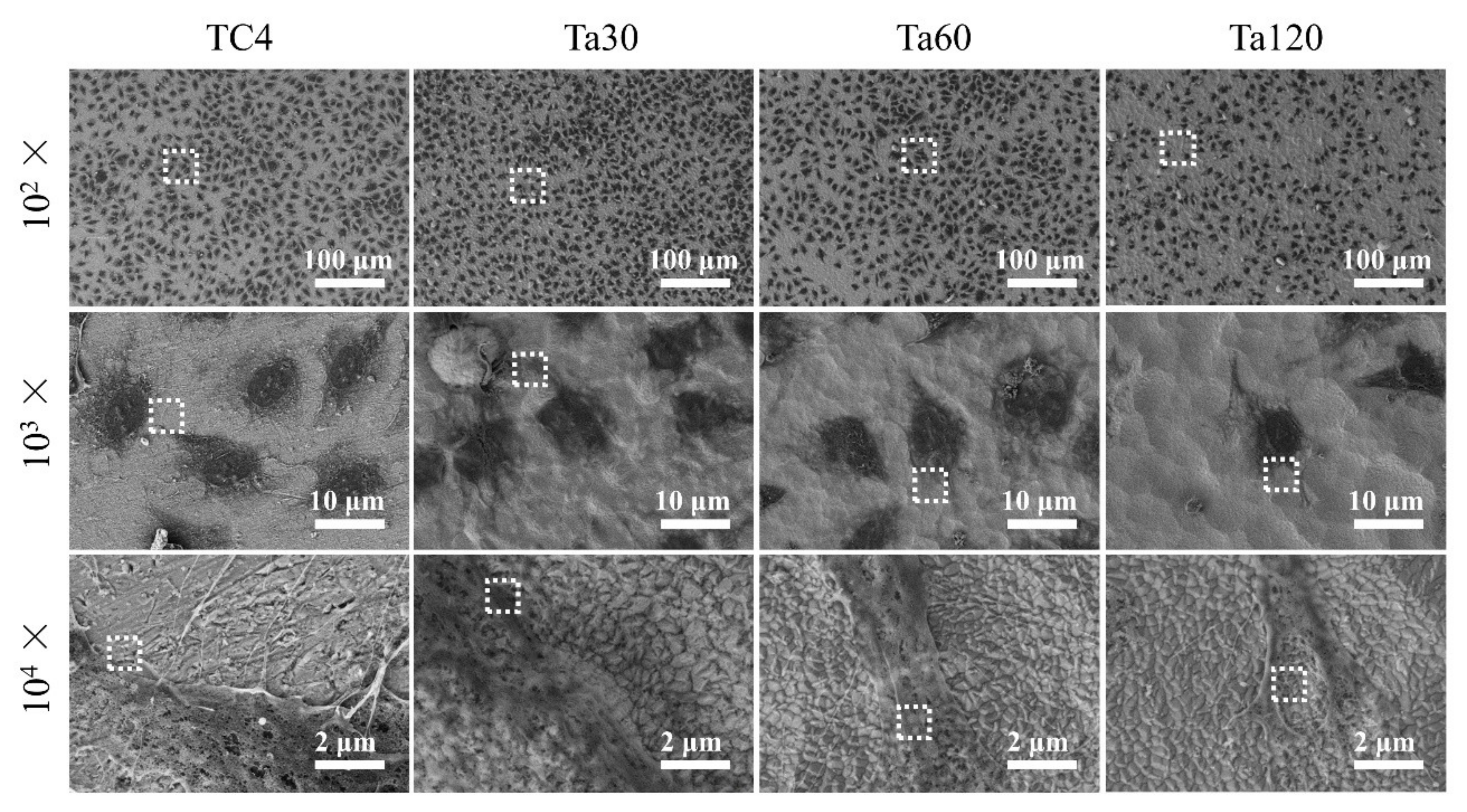 Coatings 11 00631 g008