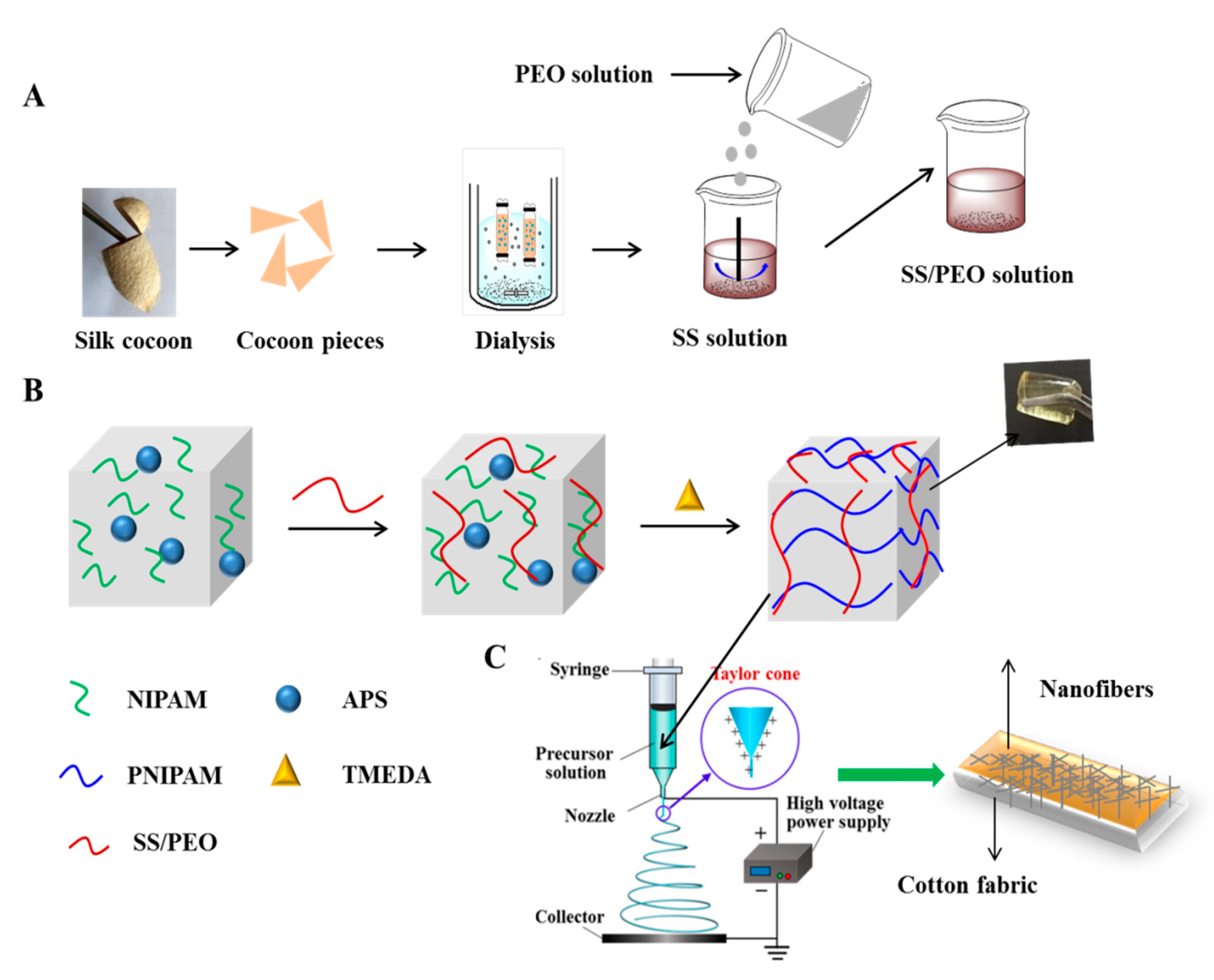 Coatings 11 00632 g002