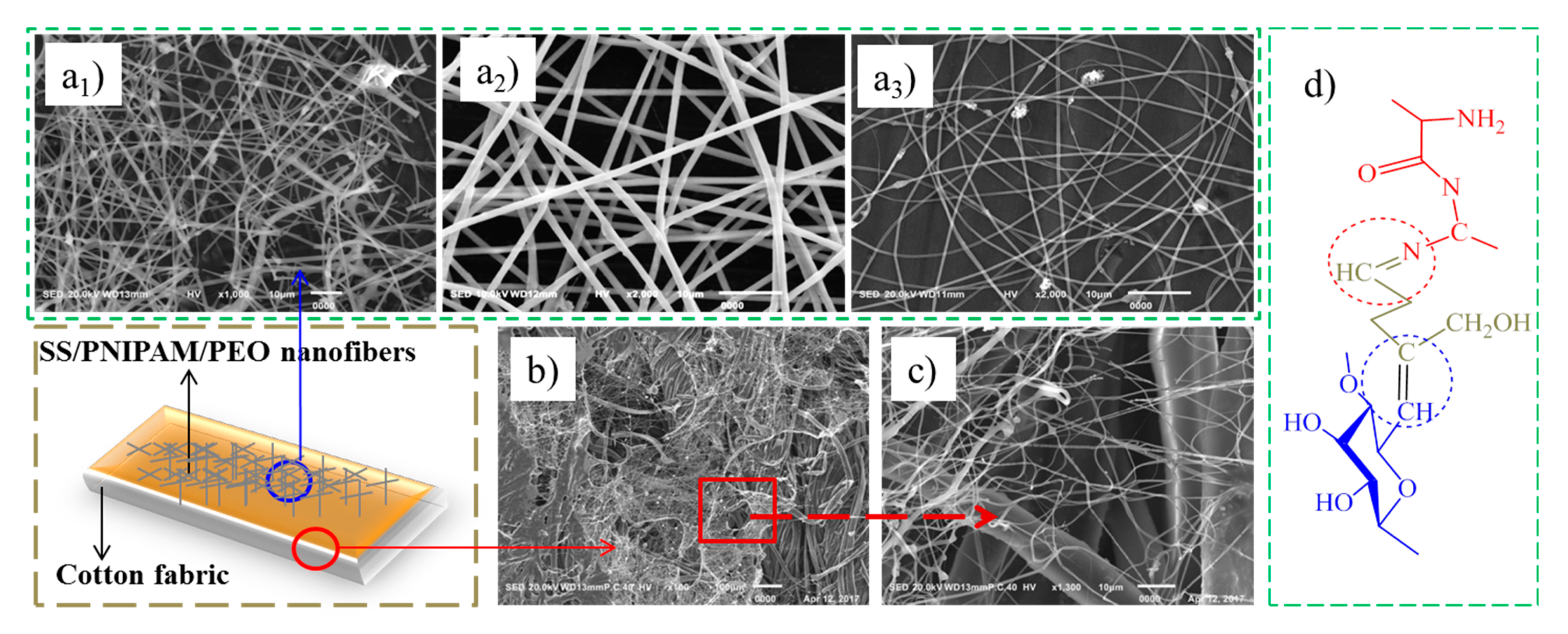 Coatings 11 00632 g003