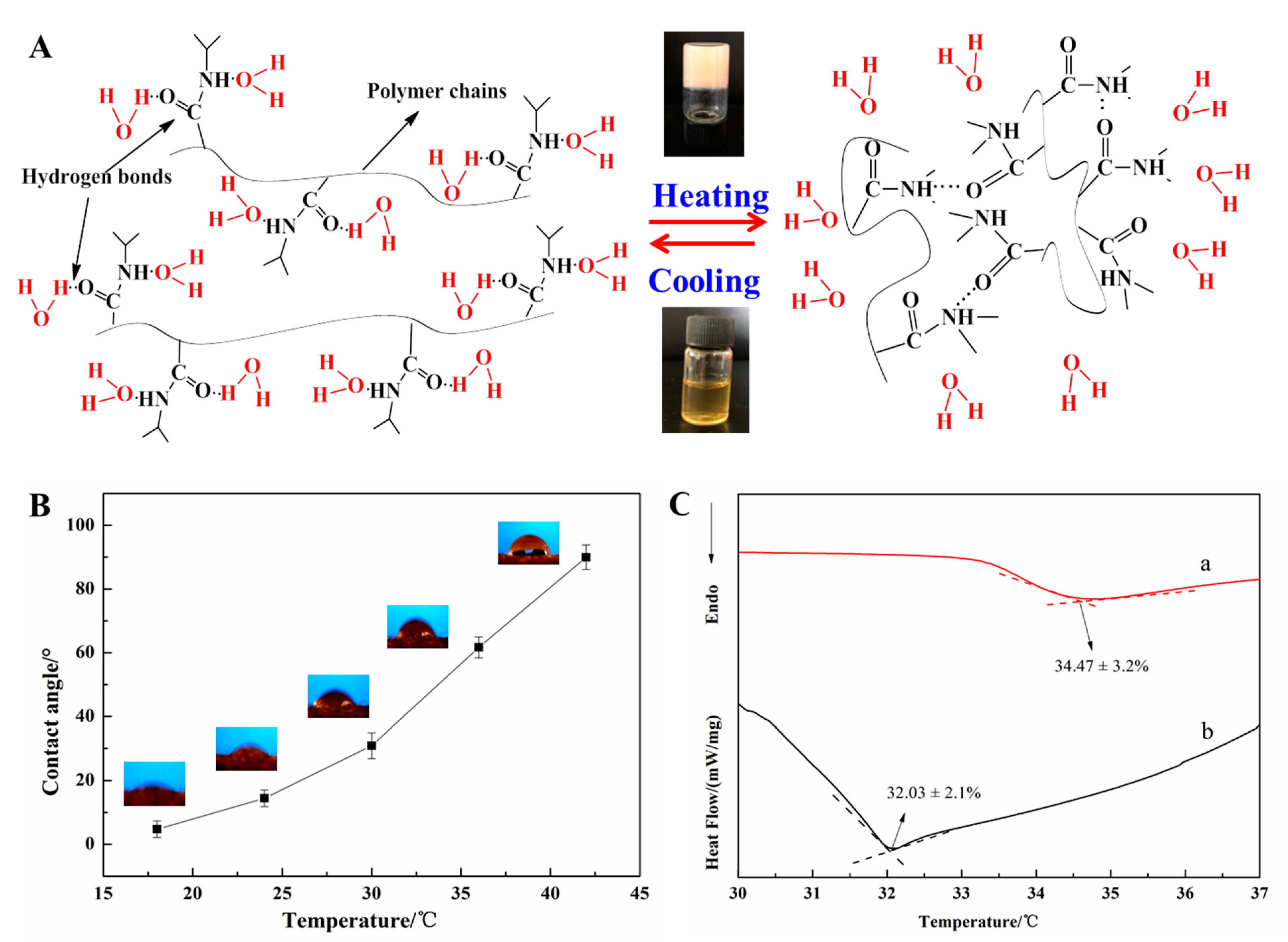 Coatings 11 00632 g005