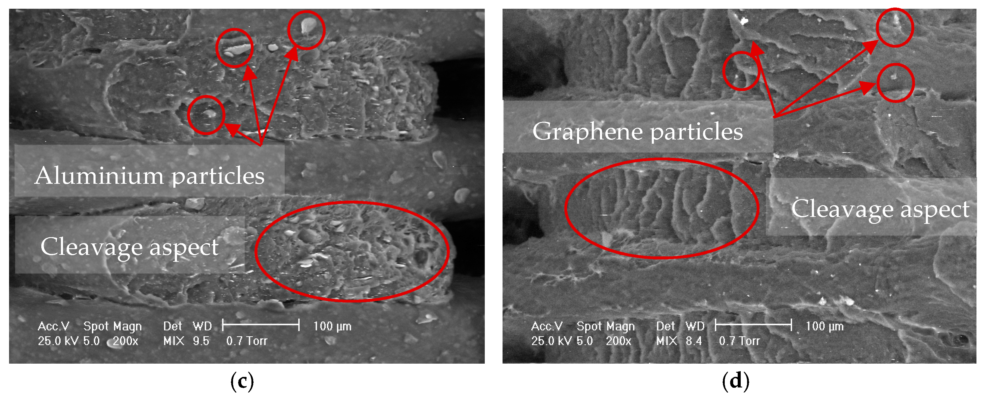 Coatings 11 00633 g011b