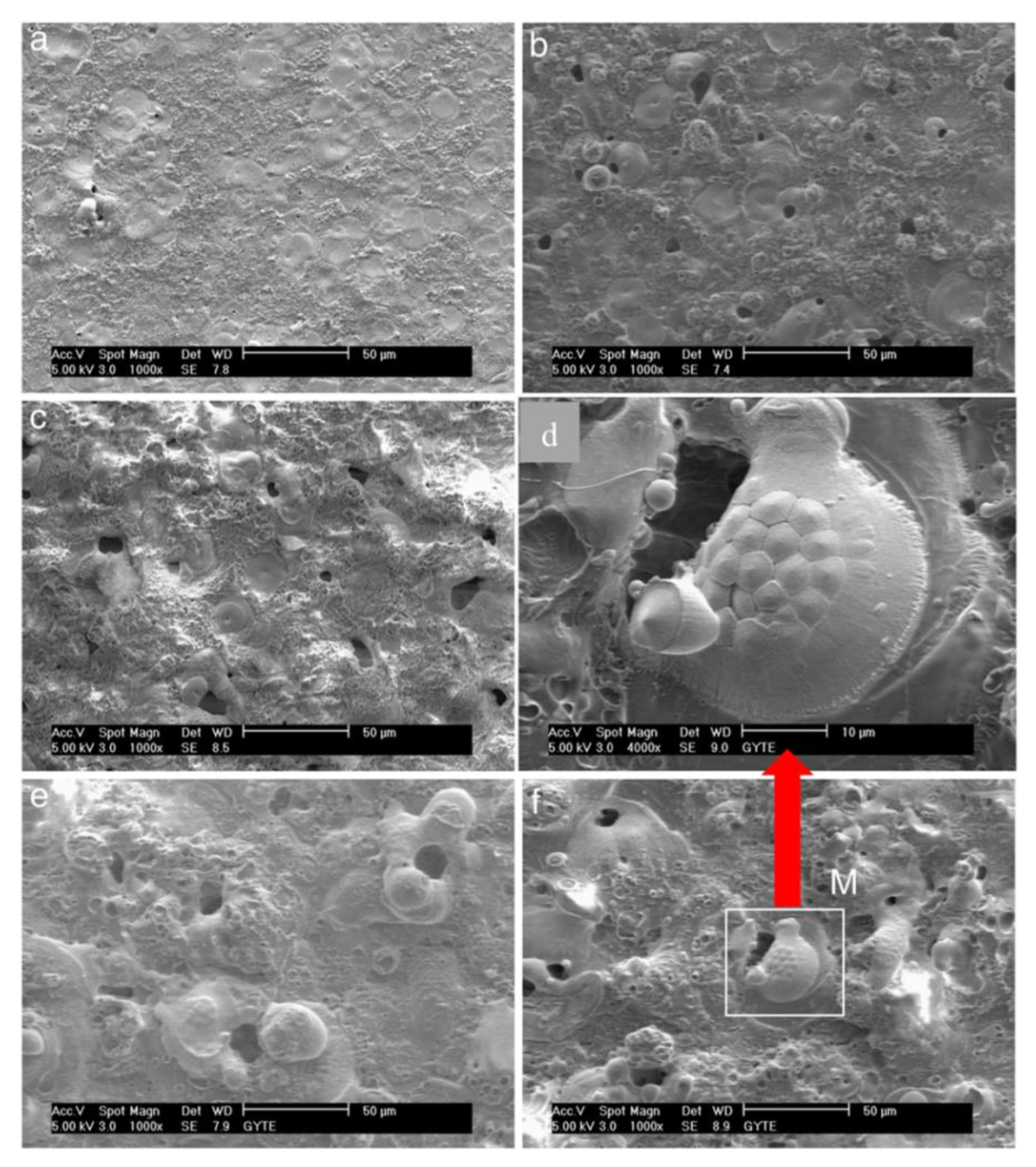 Coatings 11 00634 g006 Coatings 11 00634 g006