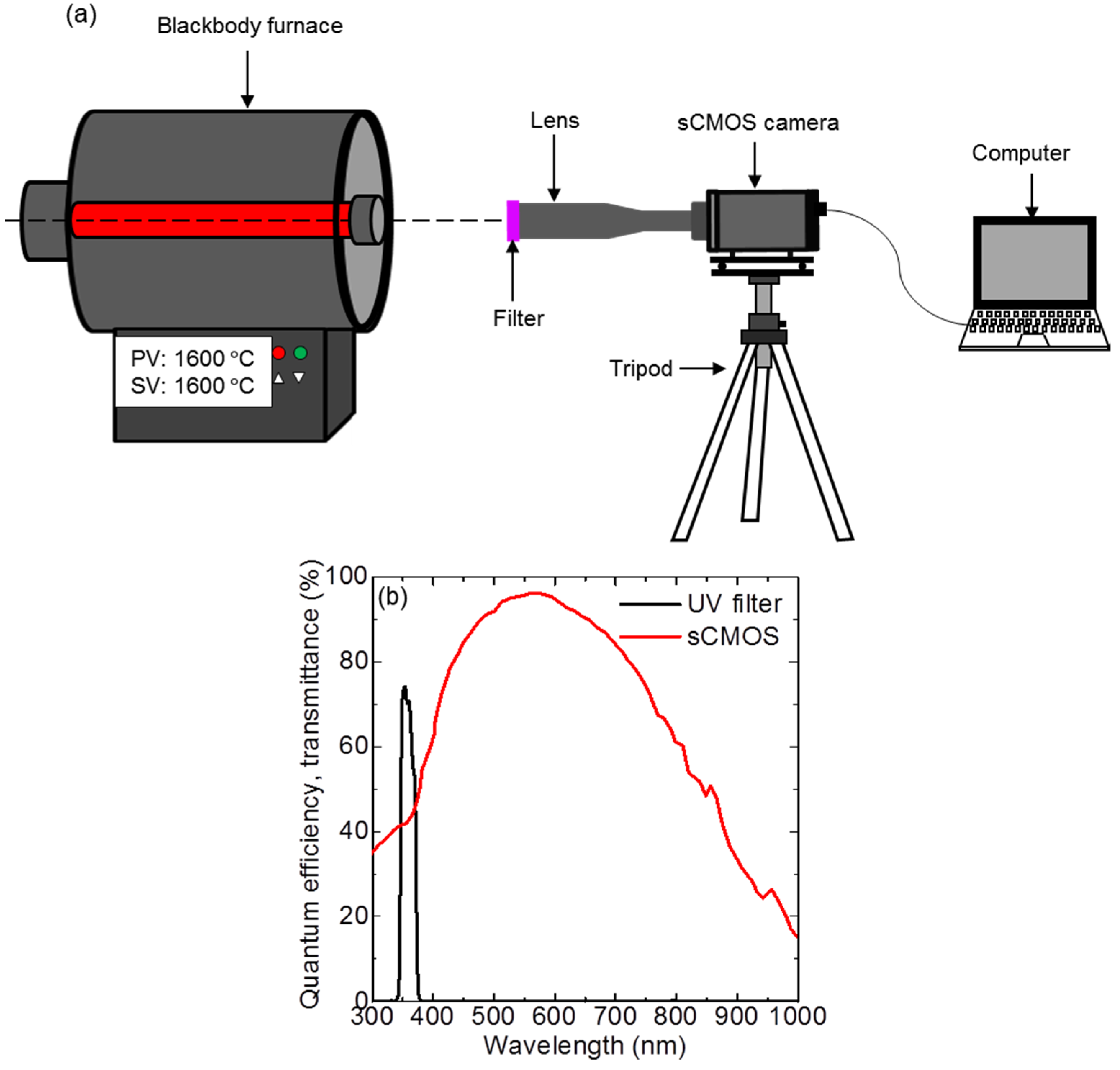 Coatings 11 00641 g003
