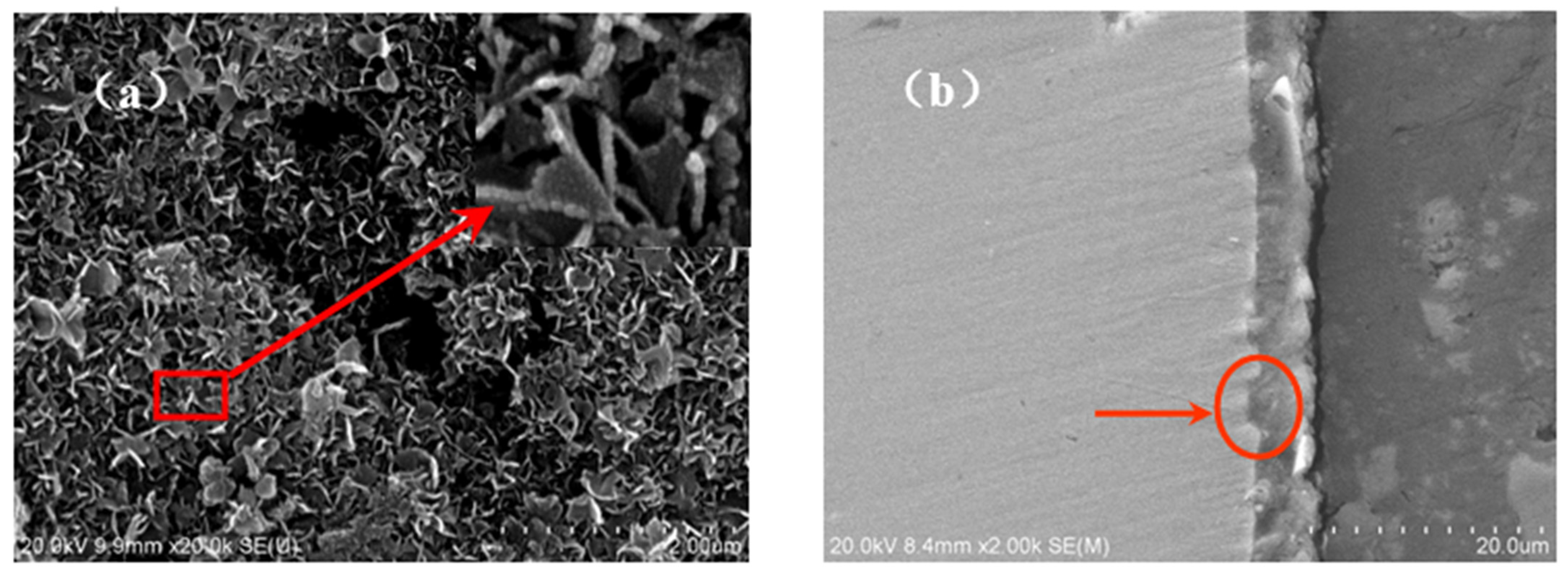 Coatings 11 00659 g008