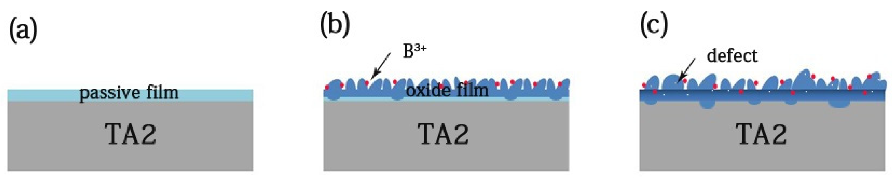 Coatings 11 00659 g013