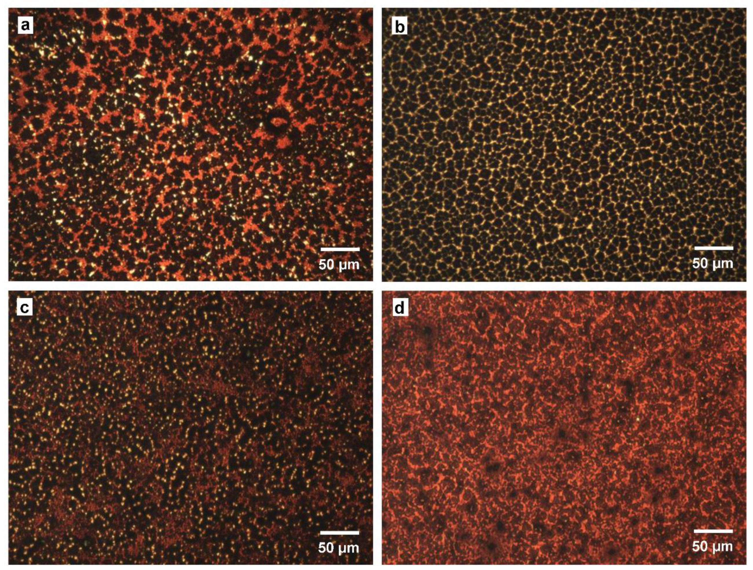 Coatings 11 00665 g004