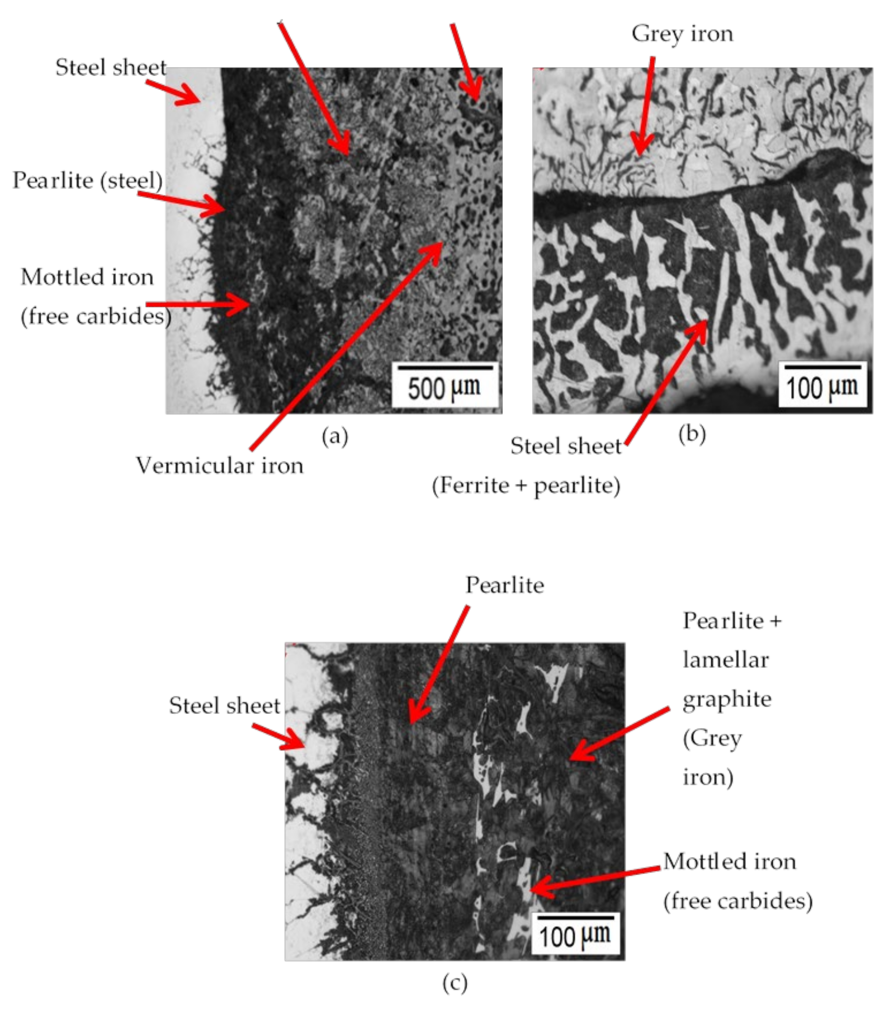 Coatings 11 00673 g006