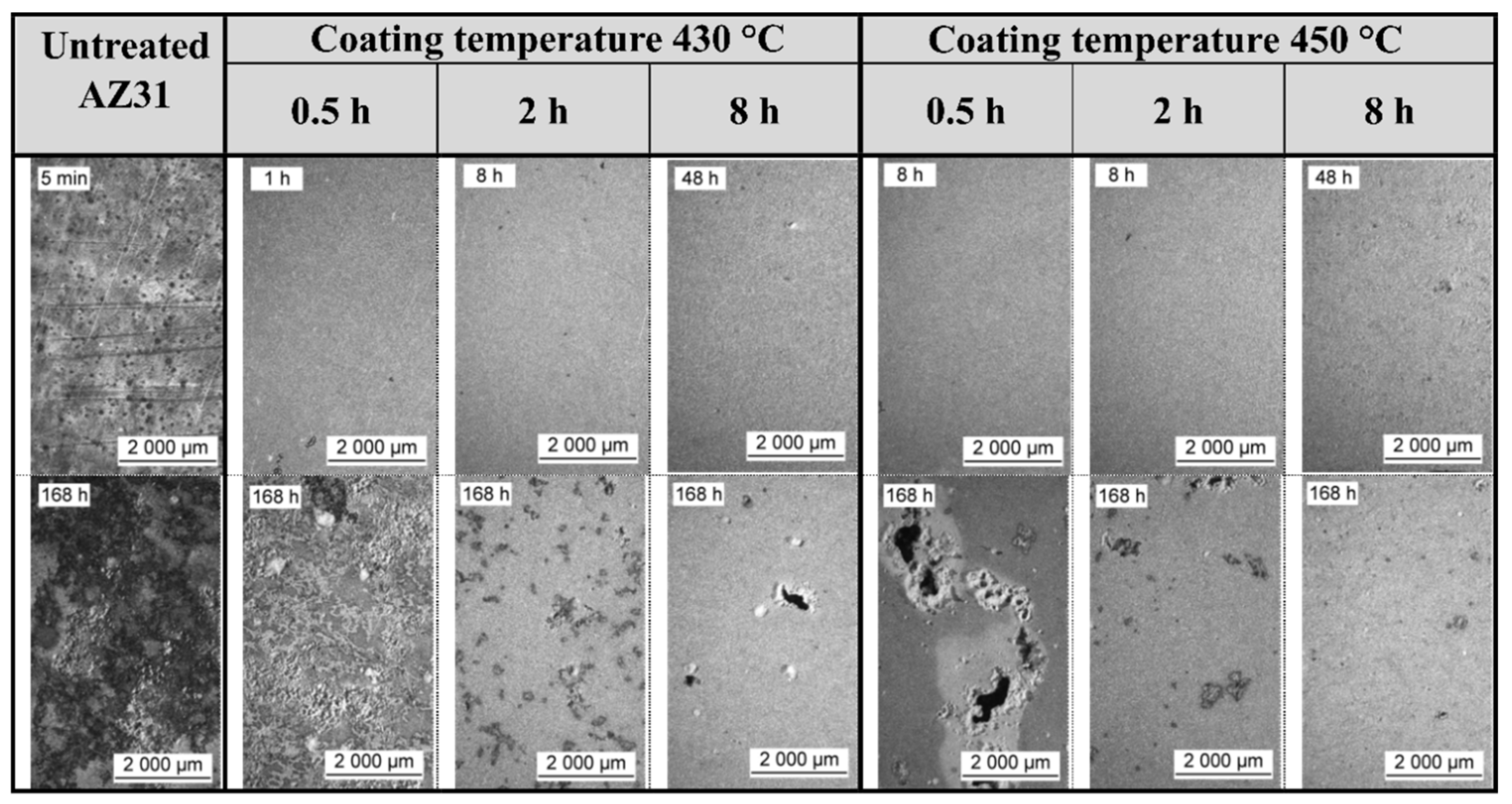 Coatings 11 00675 g009