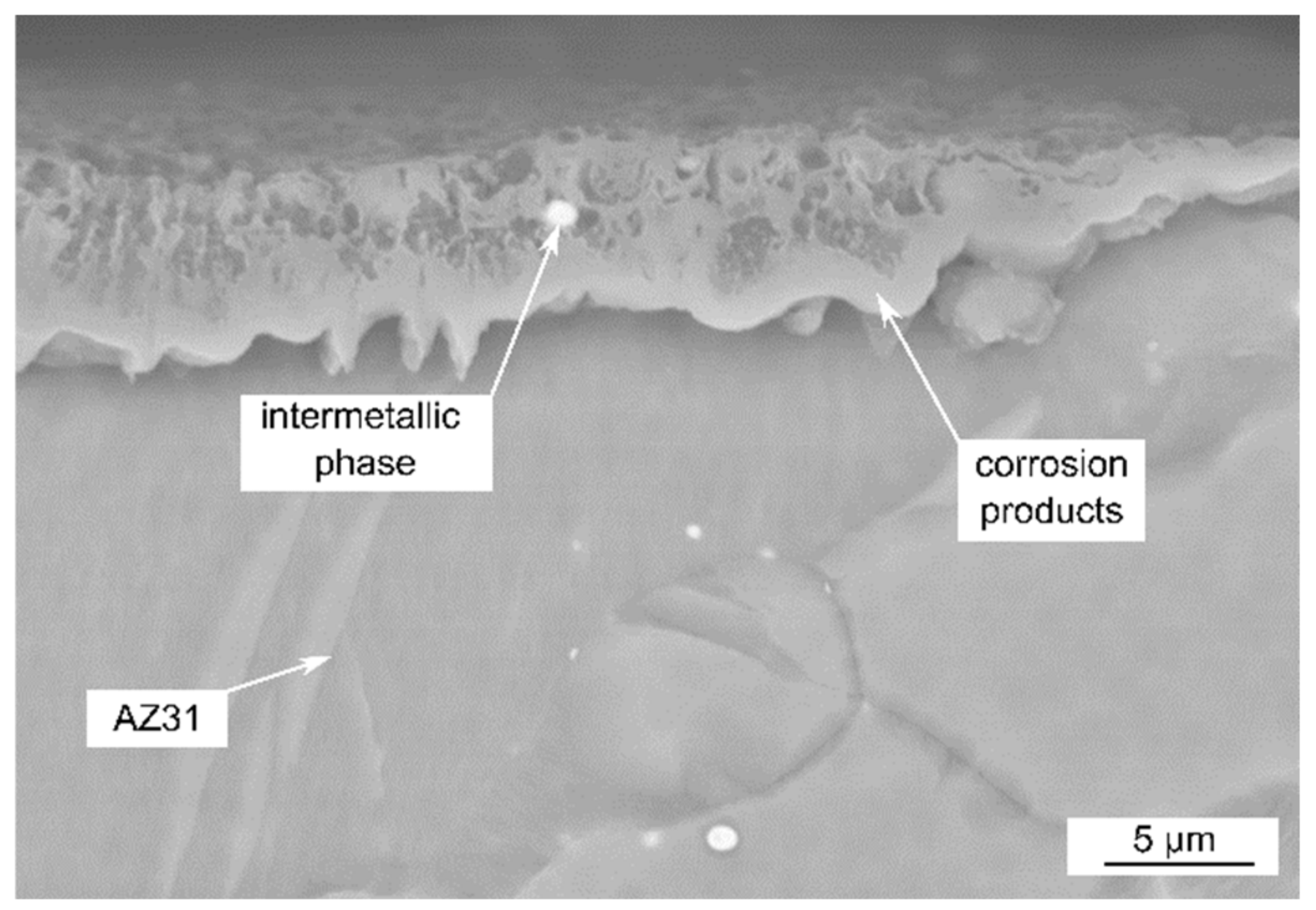 Coatings 11 00675 g010