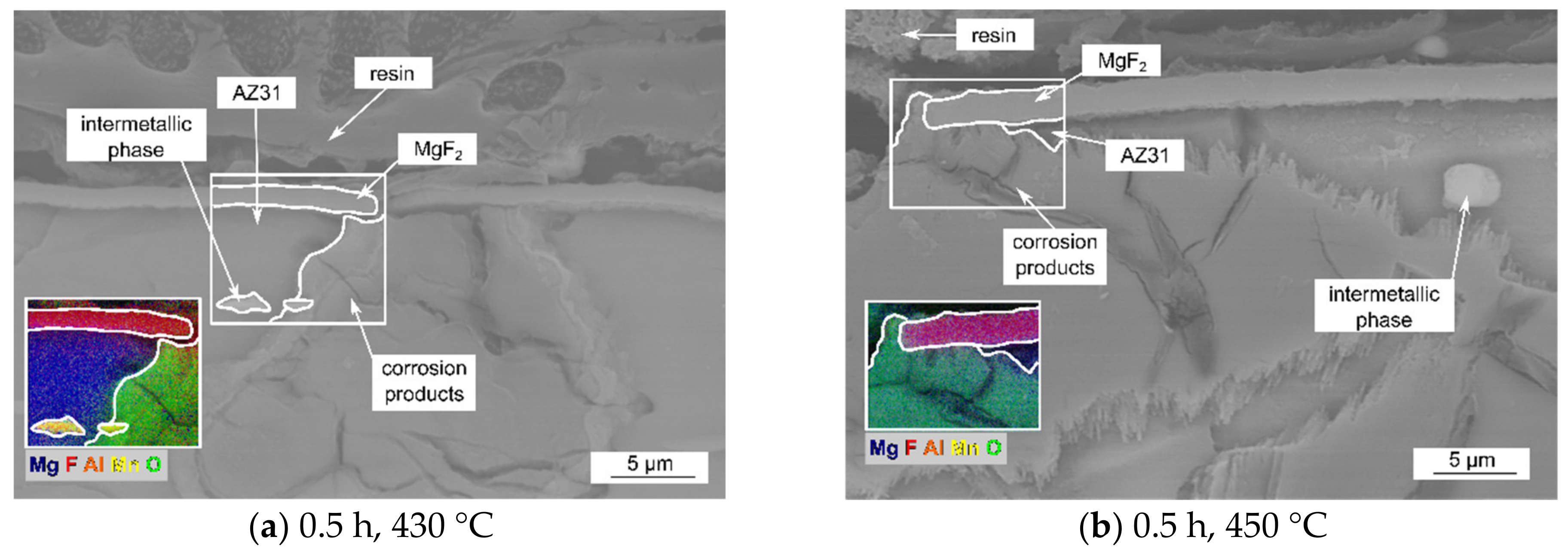Coatings 11 00675 g011a