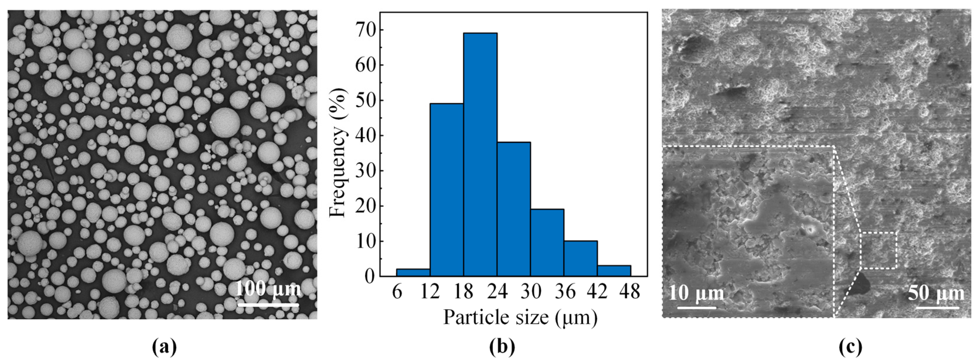 Coatings 11 00678 g001