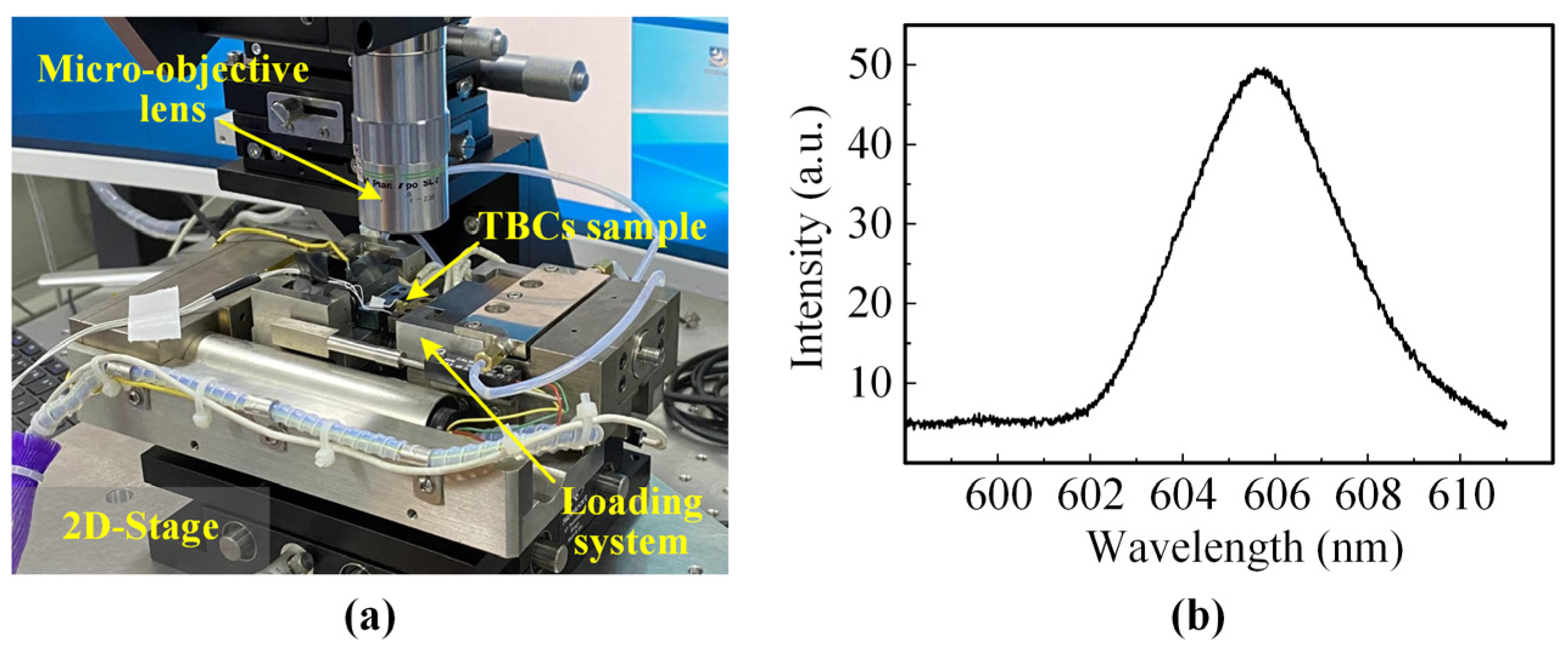 Coatings 11 00678 g002