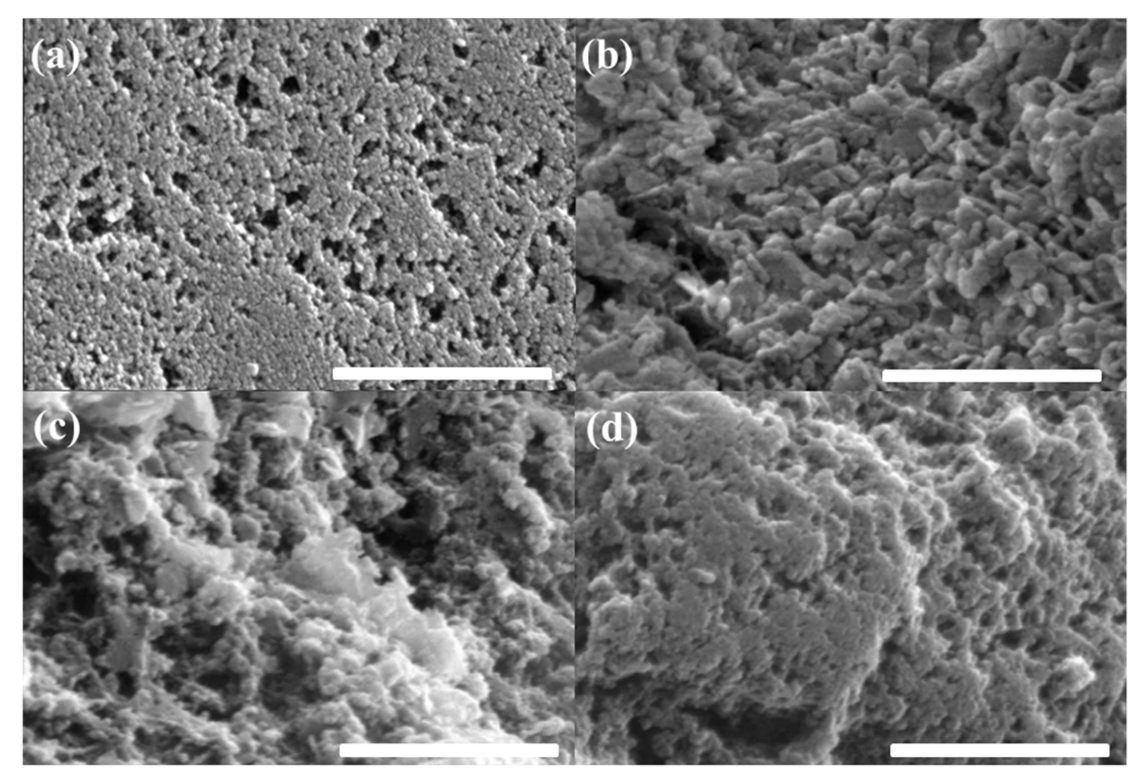 Coatings 11 00691 g001