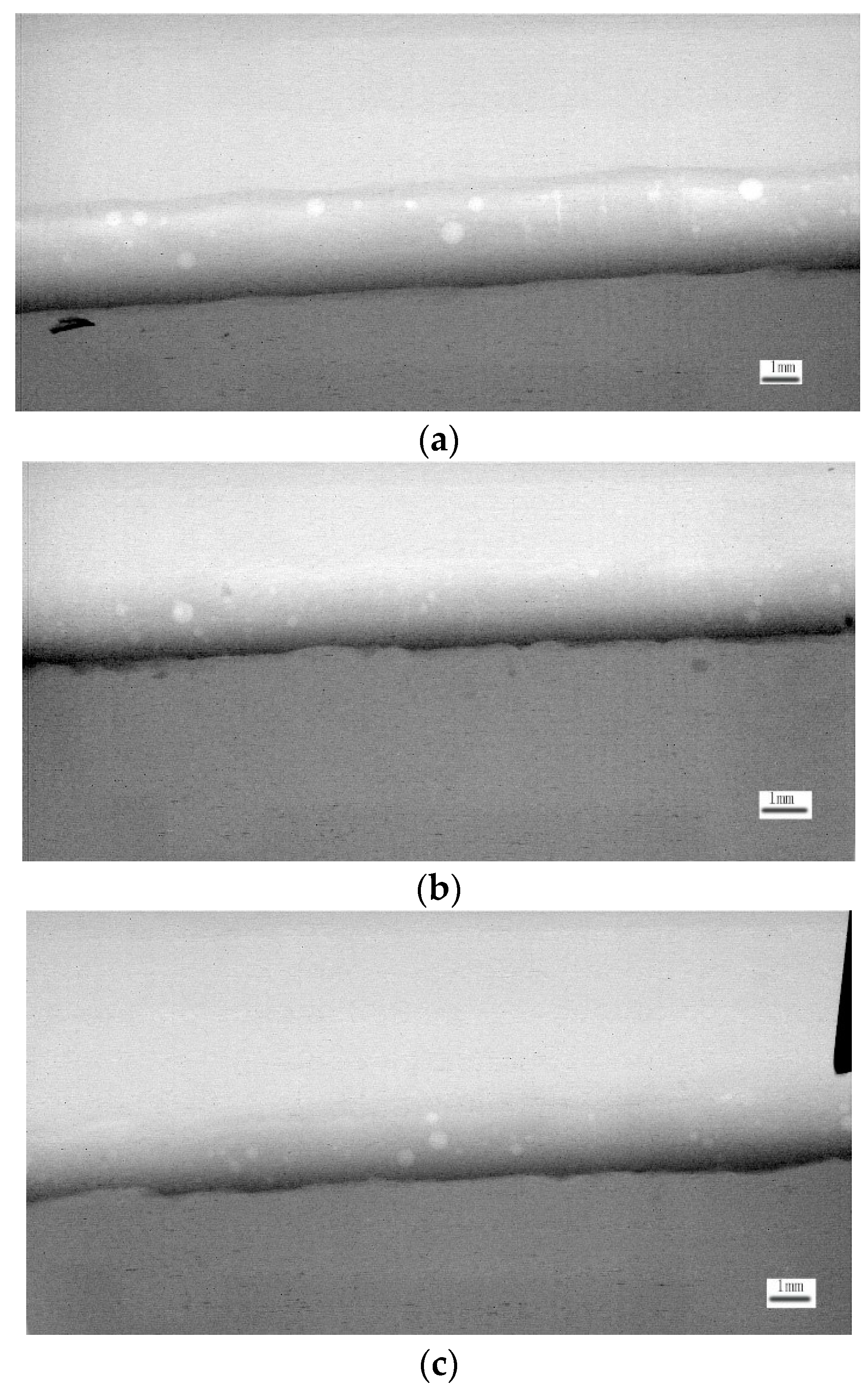 Coatings 11 00693 g005 Coatings 11 00693 g005