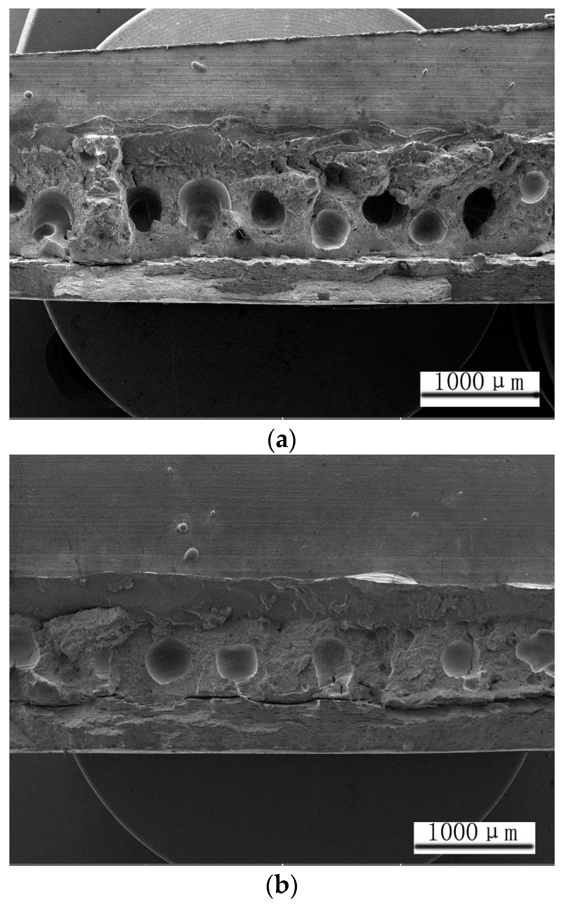 Coatings 11 00693 g006a Coatings 11 00693 g006a