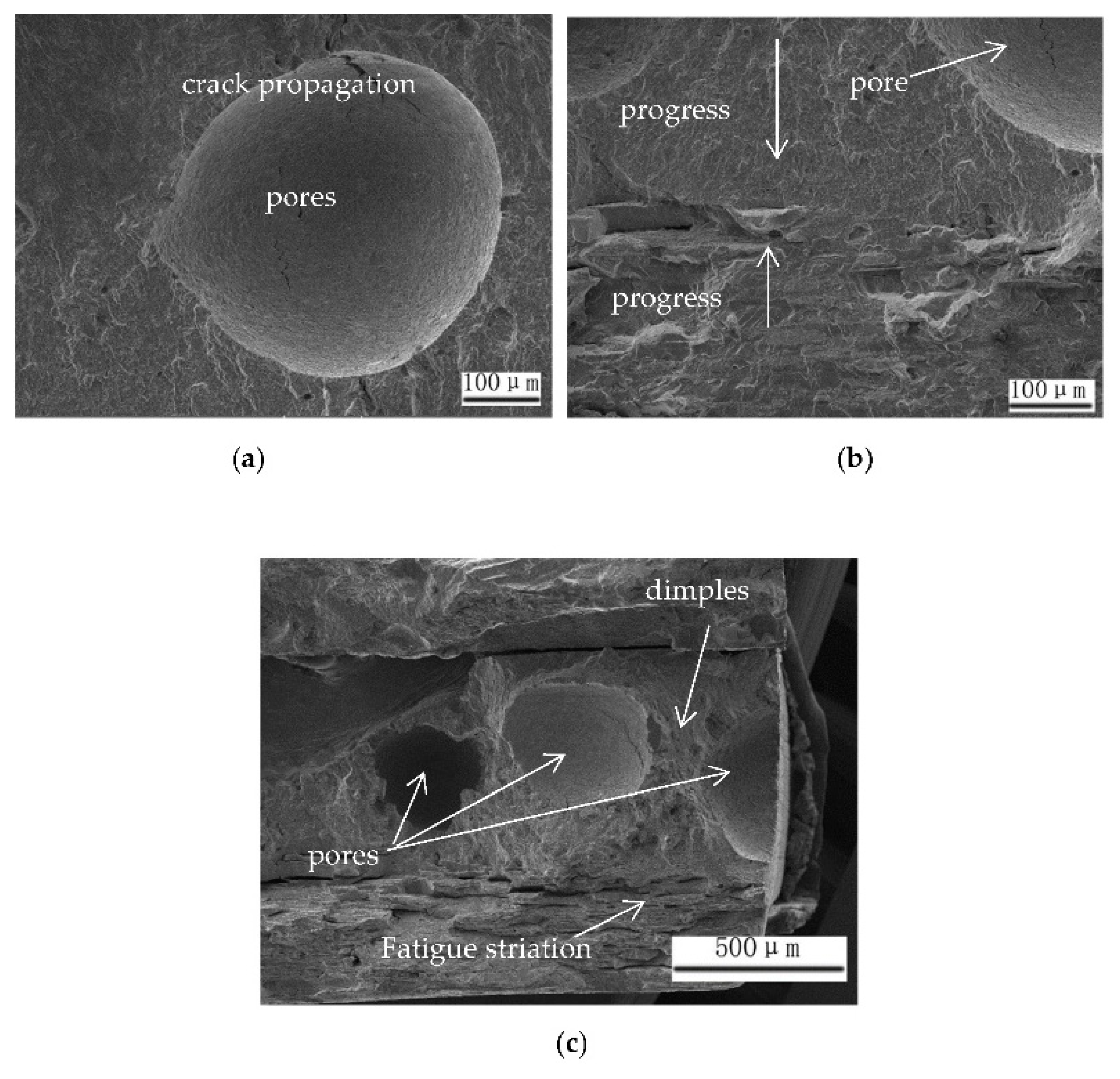 Coatings 11 00693 g007 Coatings 11 00693 g007
