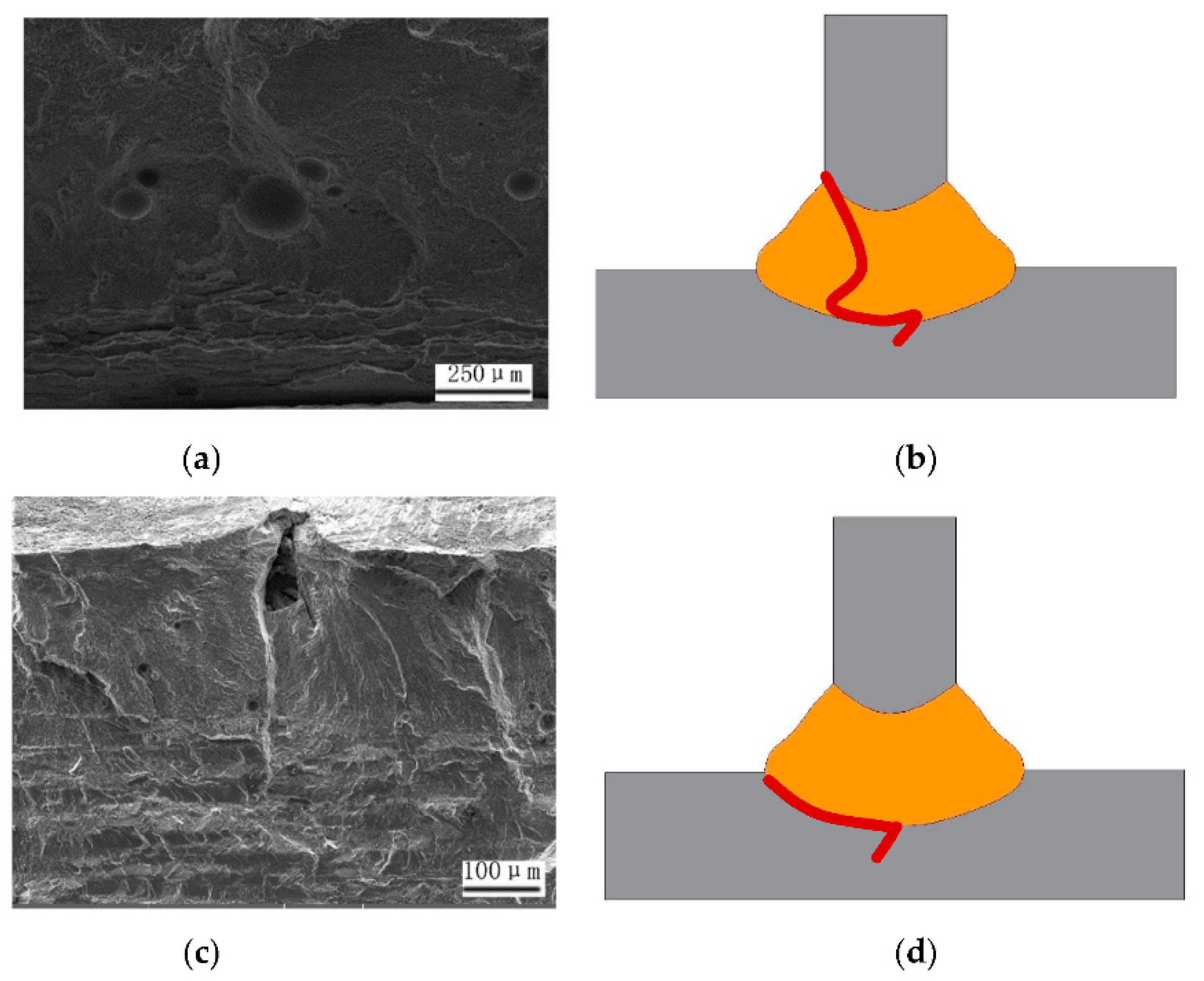 Coatings 11 00693 g010 Coatings 11 00693 g010