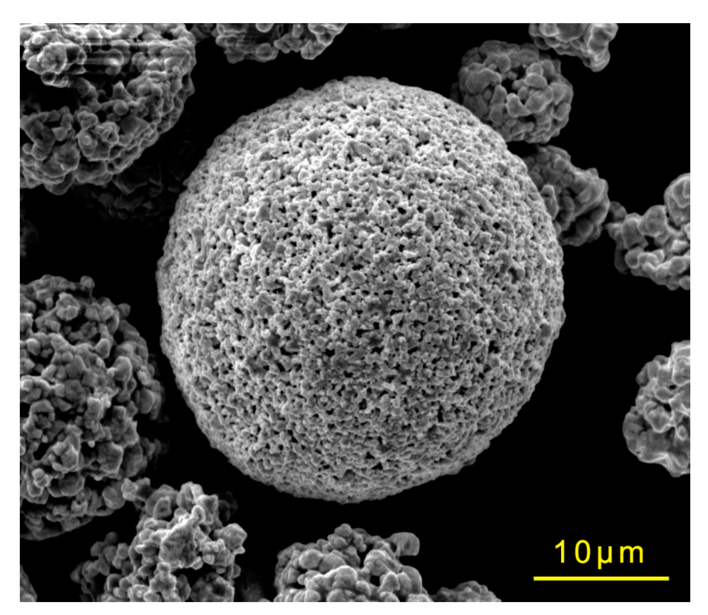 Coatings 11 00694 g001 Coatings 11 00694 g001