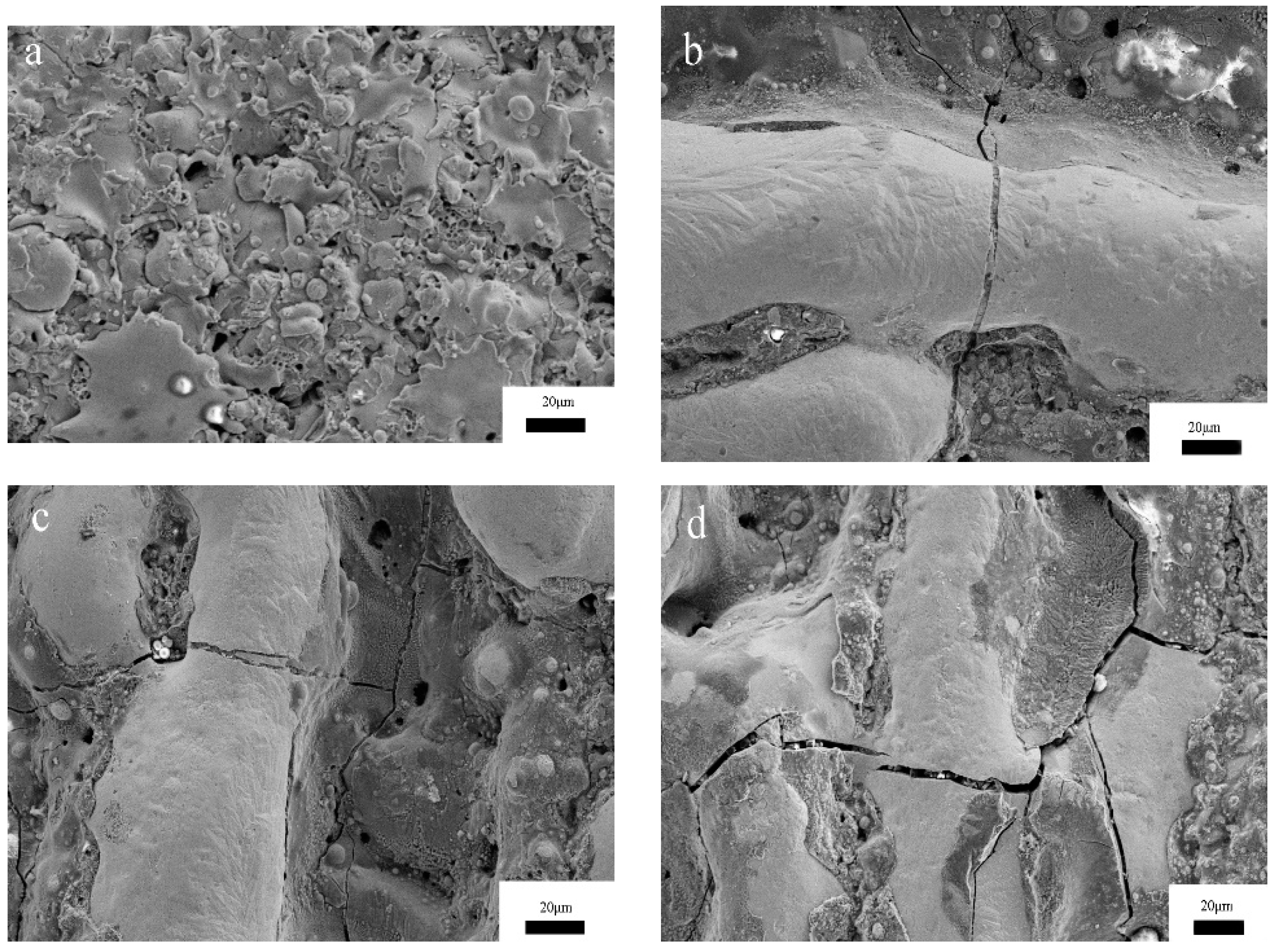 Coatings 11 00695 g005 Coatings 11 00695 g005