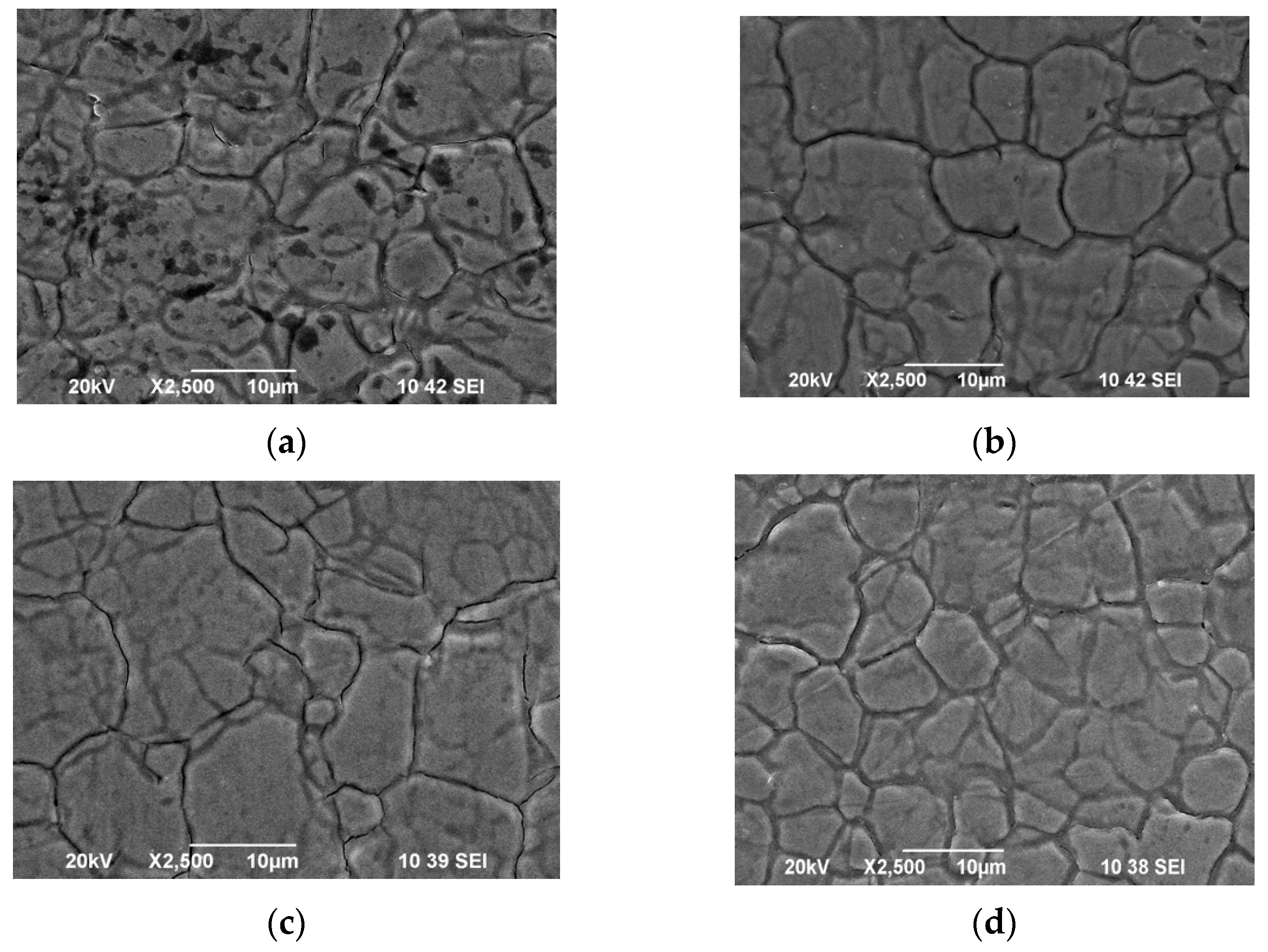 Coatings 11 00703 g006