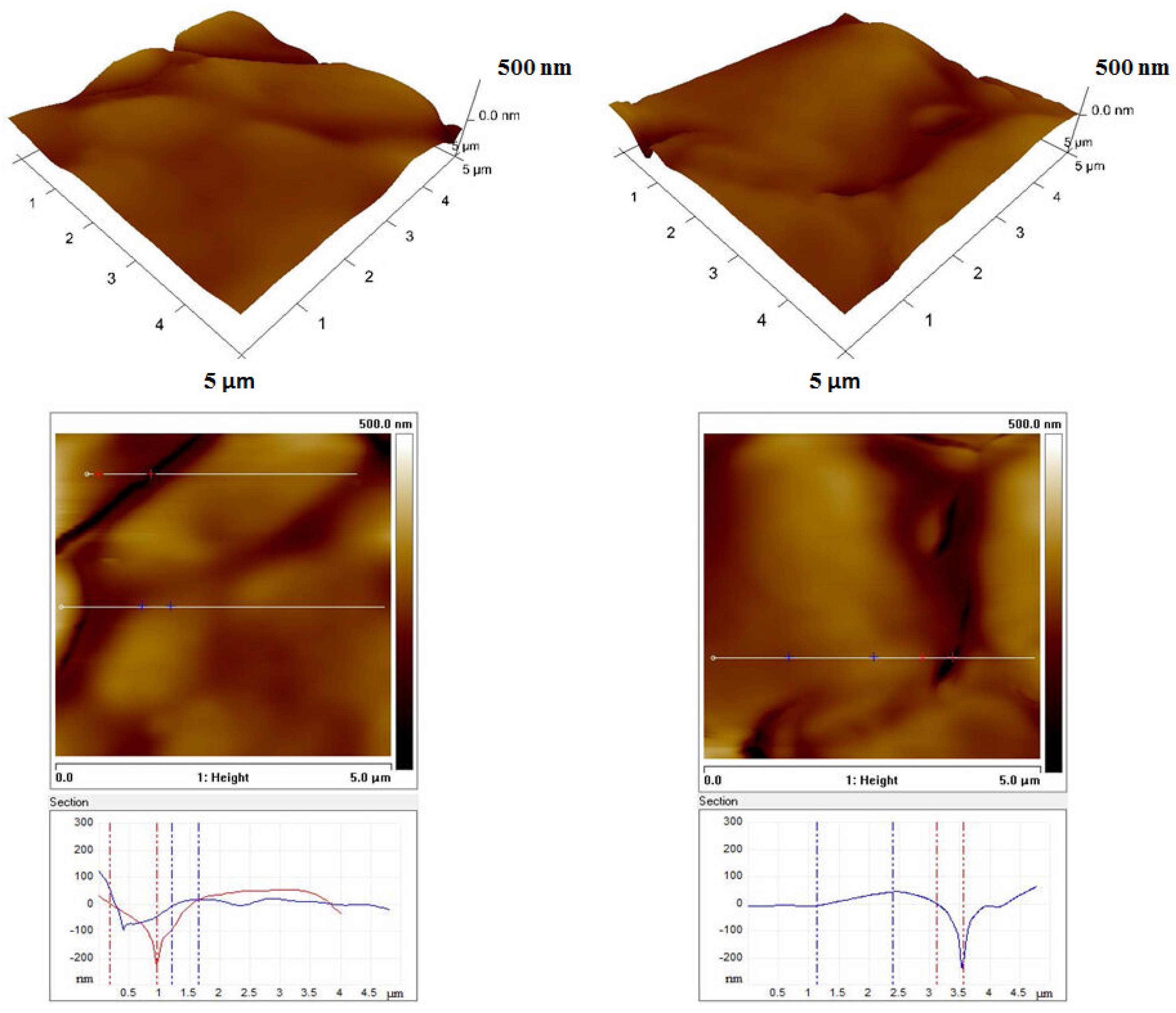 Coatings 11 00703 g008