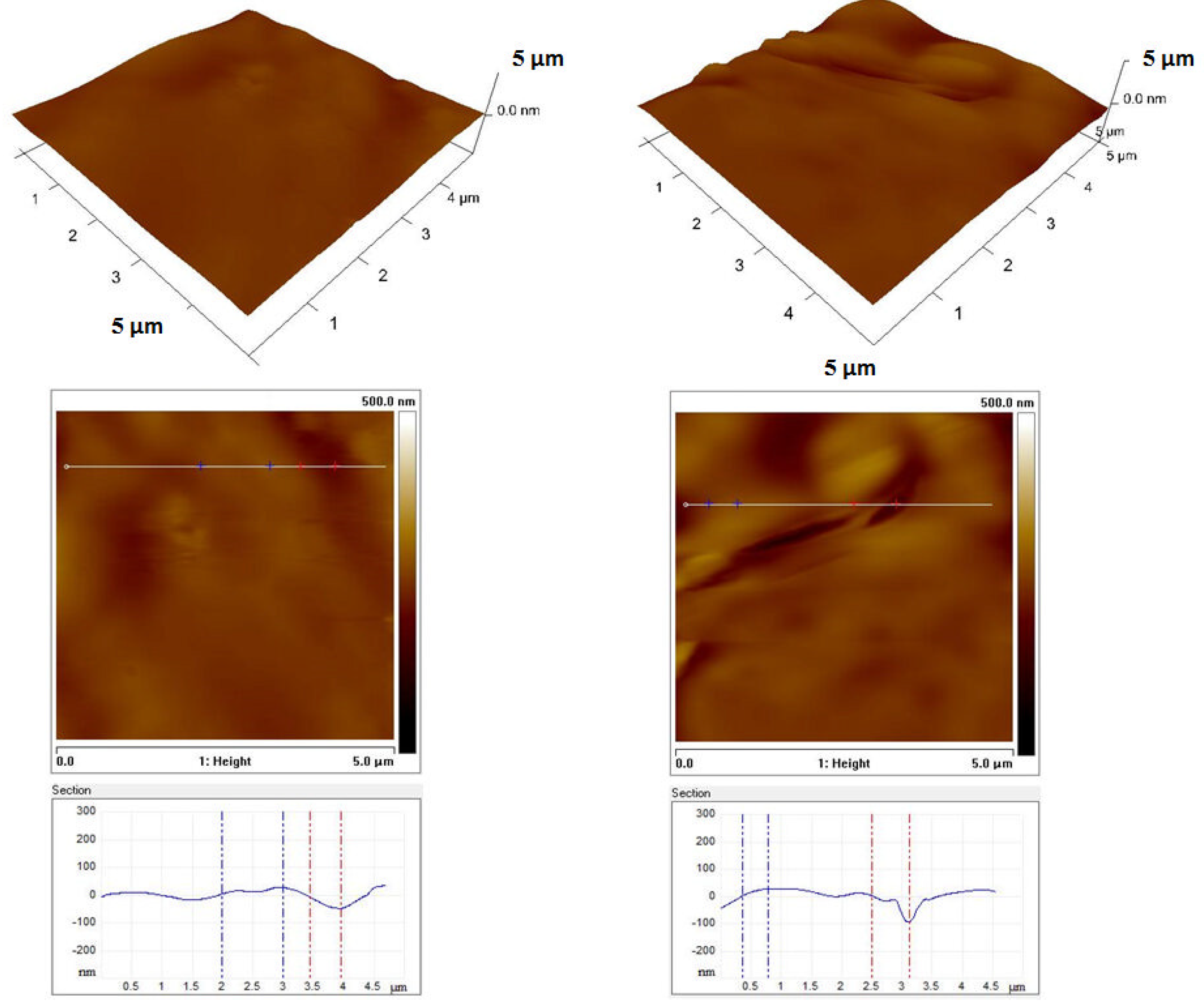 Coatings 11 00703 g010
