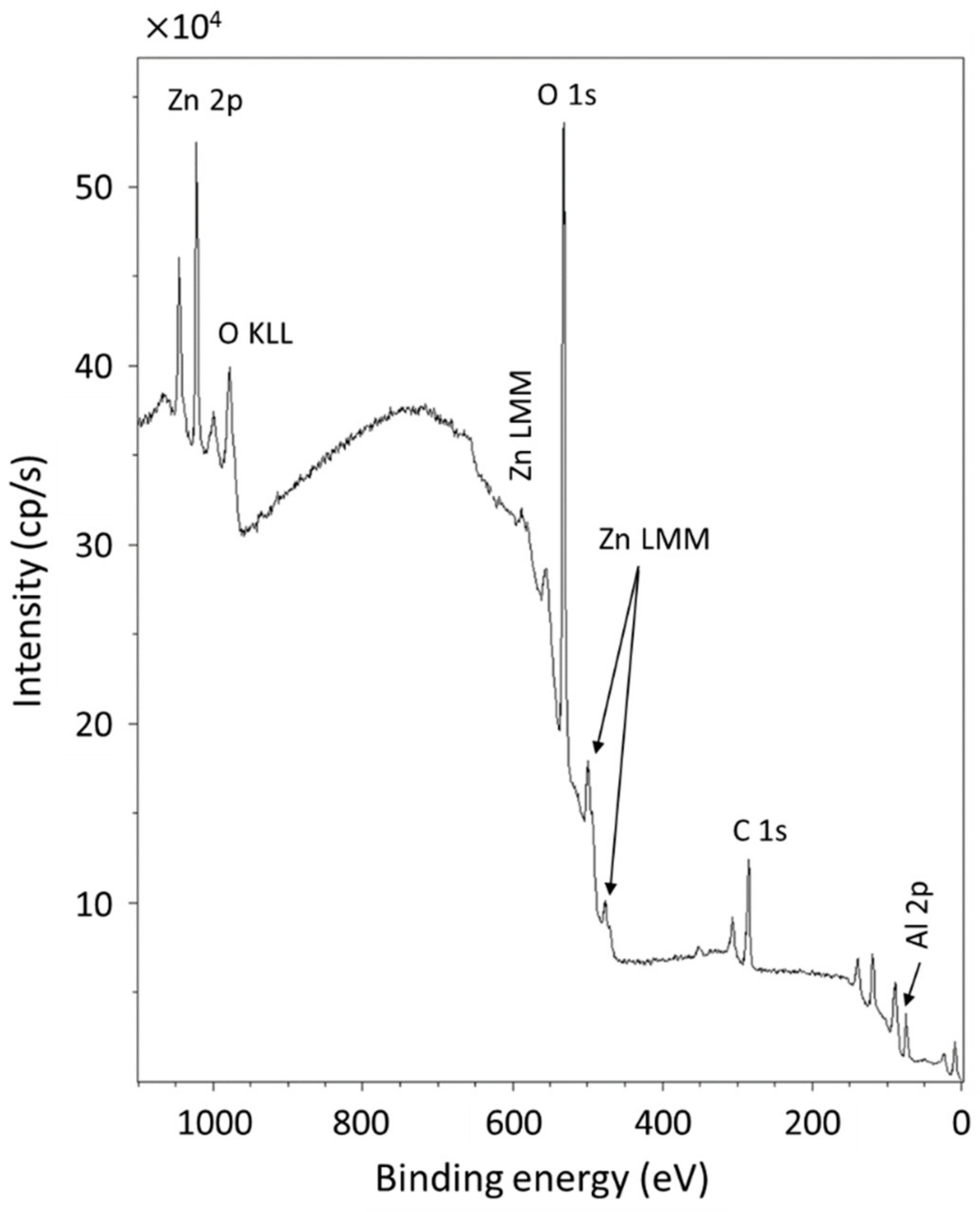 Coatings 11 00704 g003