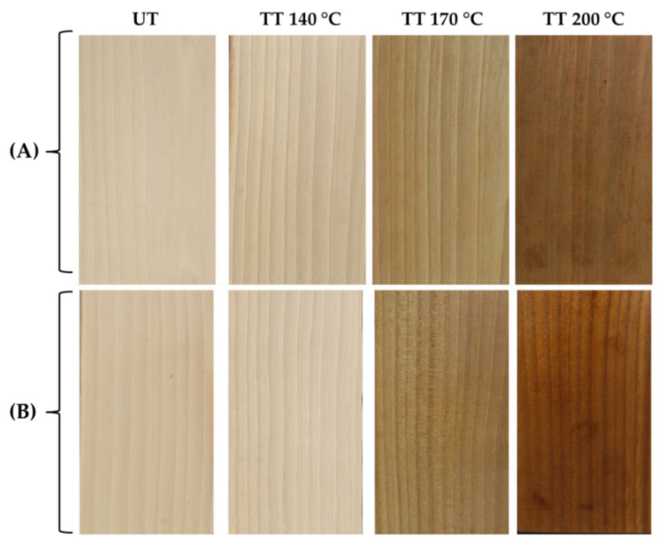 Coatings 11 00706 g003 Coatings 11 00706 g003