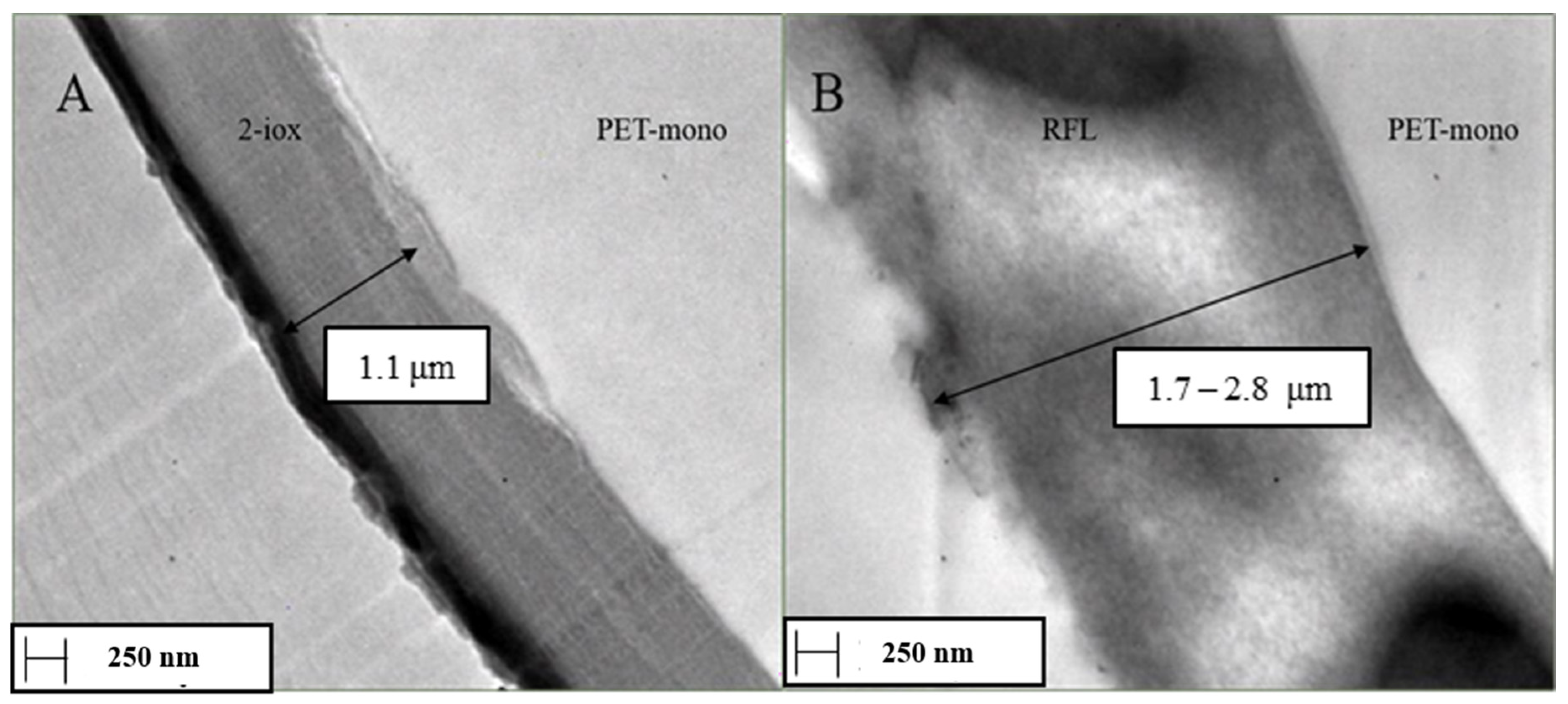 Coatings 11 00708 g006