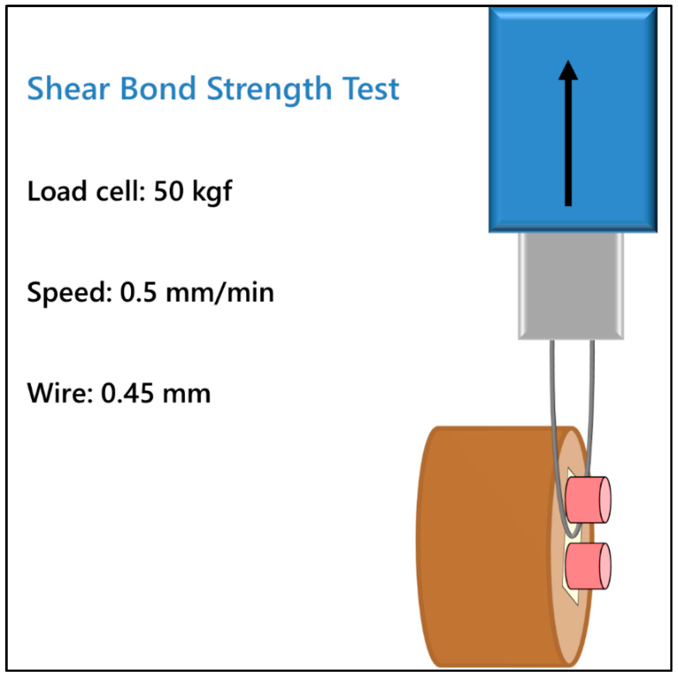 Coatings 11 00719 g003
