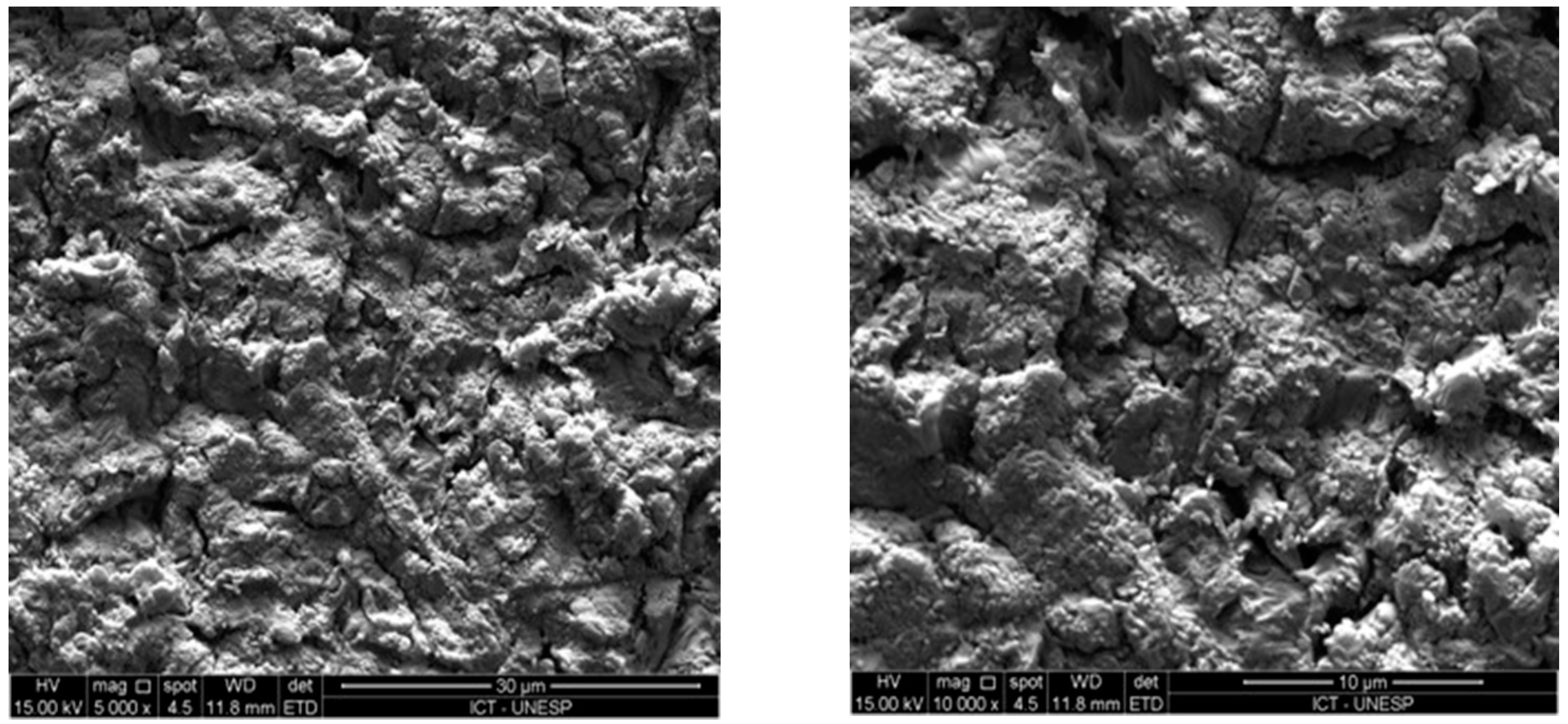 Coatings 11 00719 g005