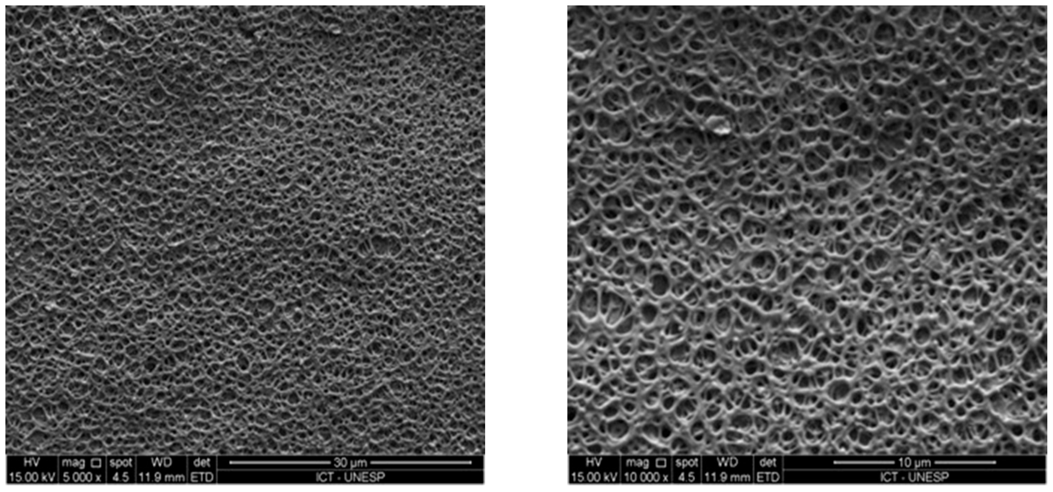 Coatings 11 00719 g008