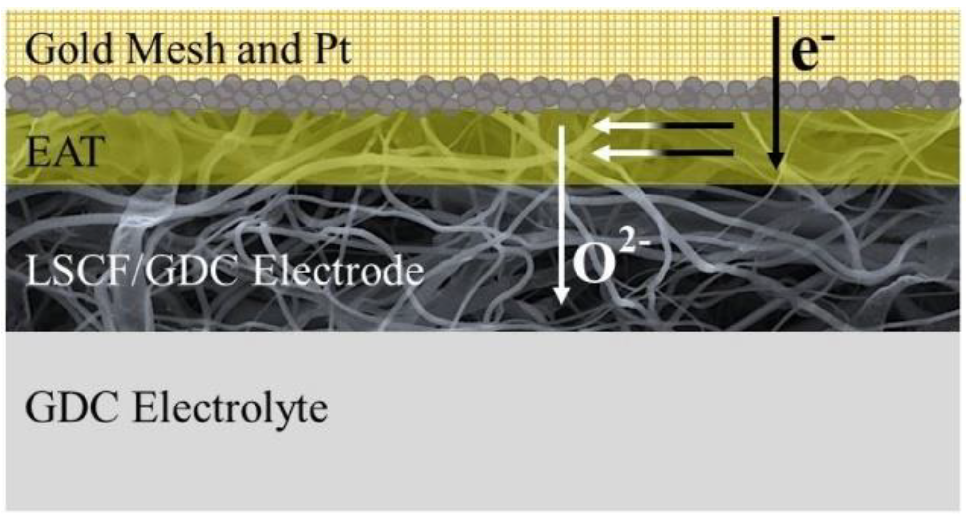 Coatings 11 00724 g001