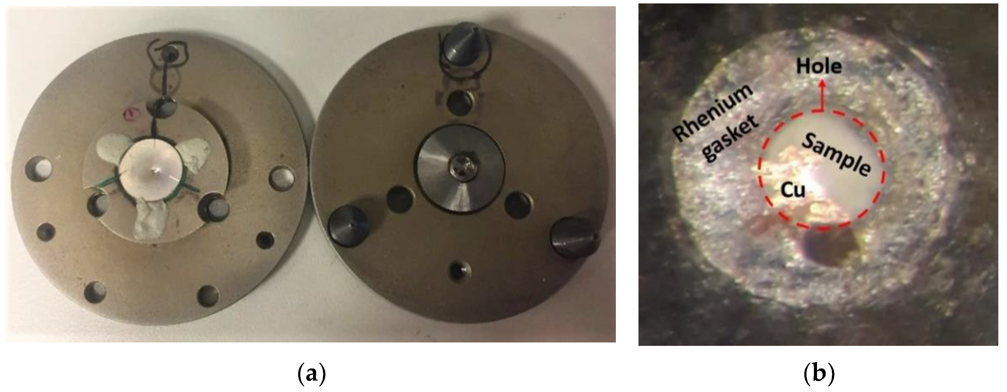 Coatings 11 00724 g004