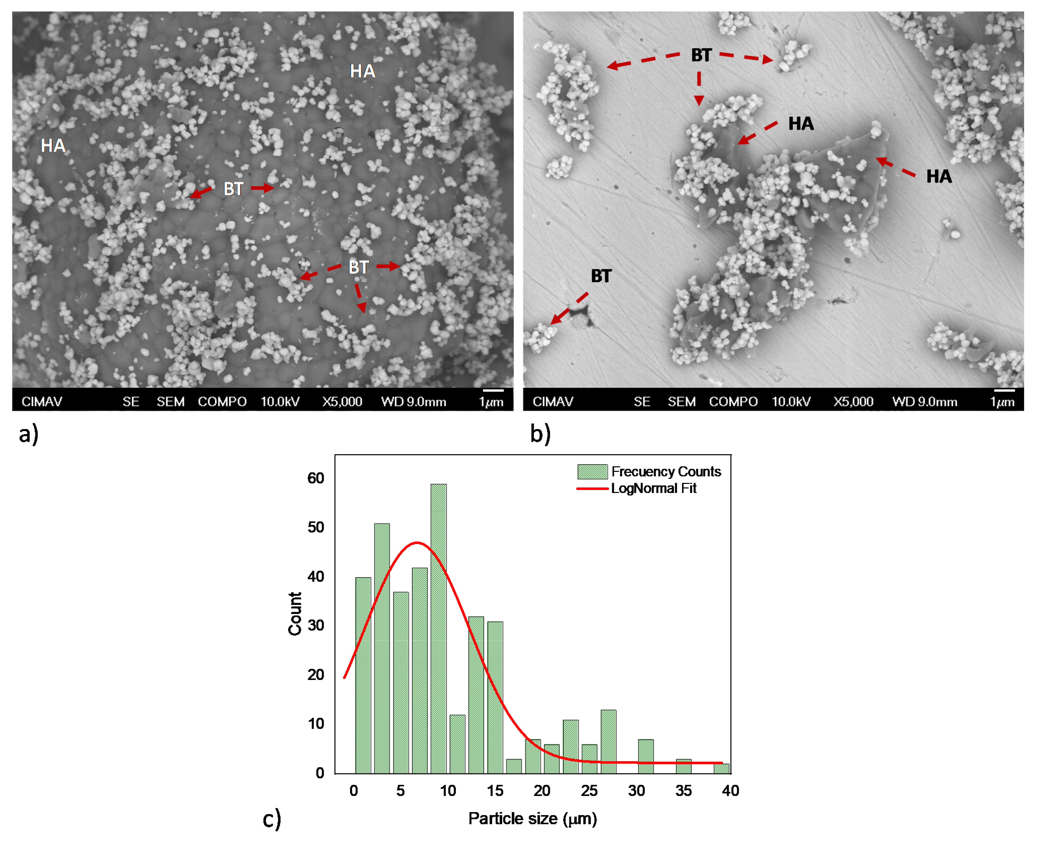 Coatings 11 00728 g002 Coatings 11 00728 g002