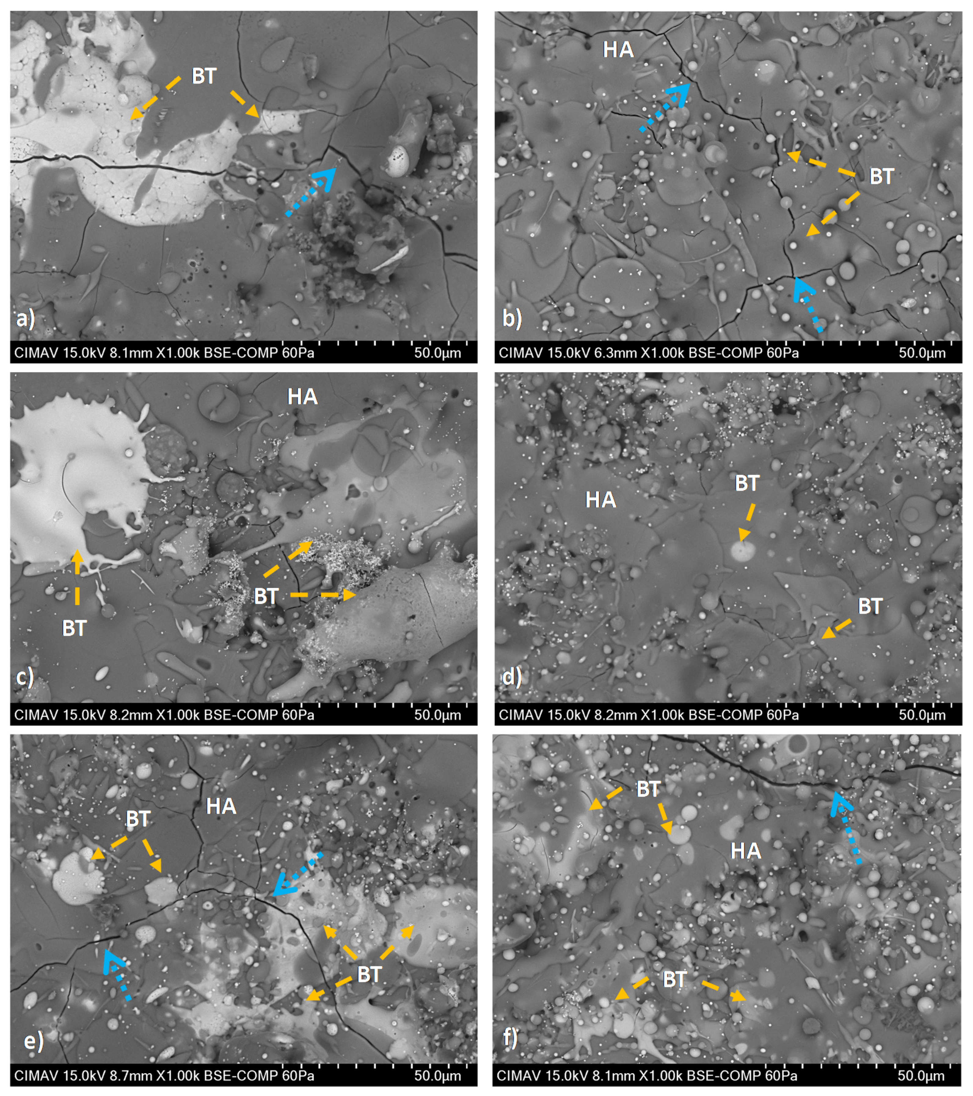 Coatings 11 00728 g006 Coatings 11 00728 g006