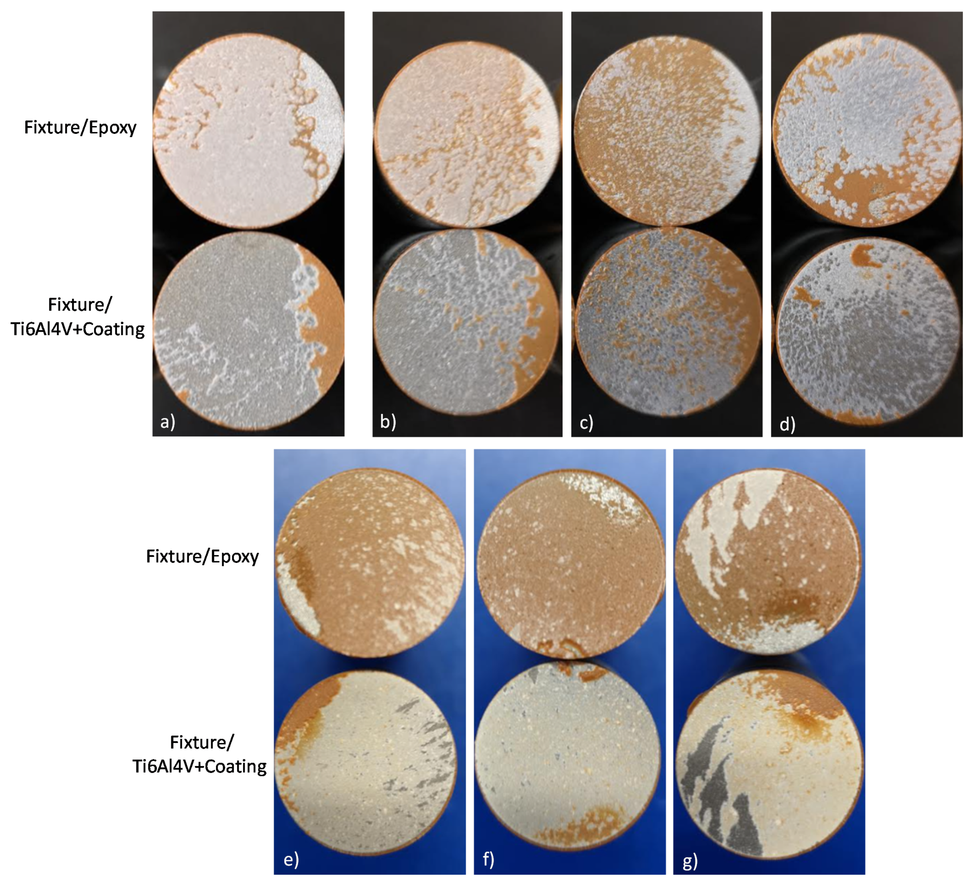 Coatings 11 00728 g014 Coatings 11 00728 g014