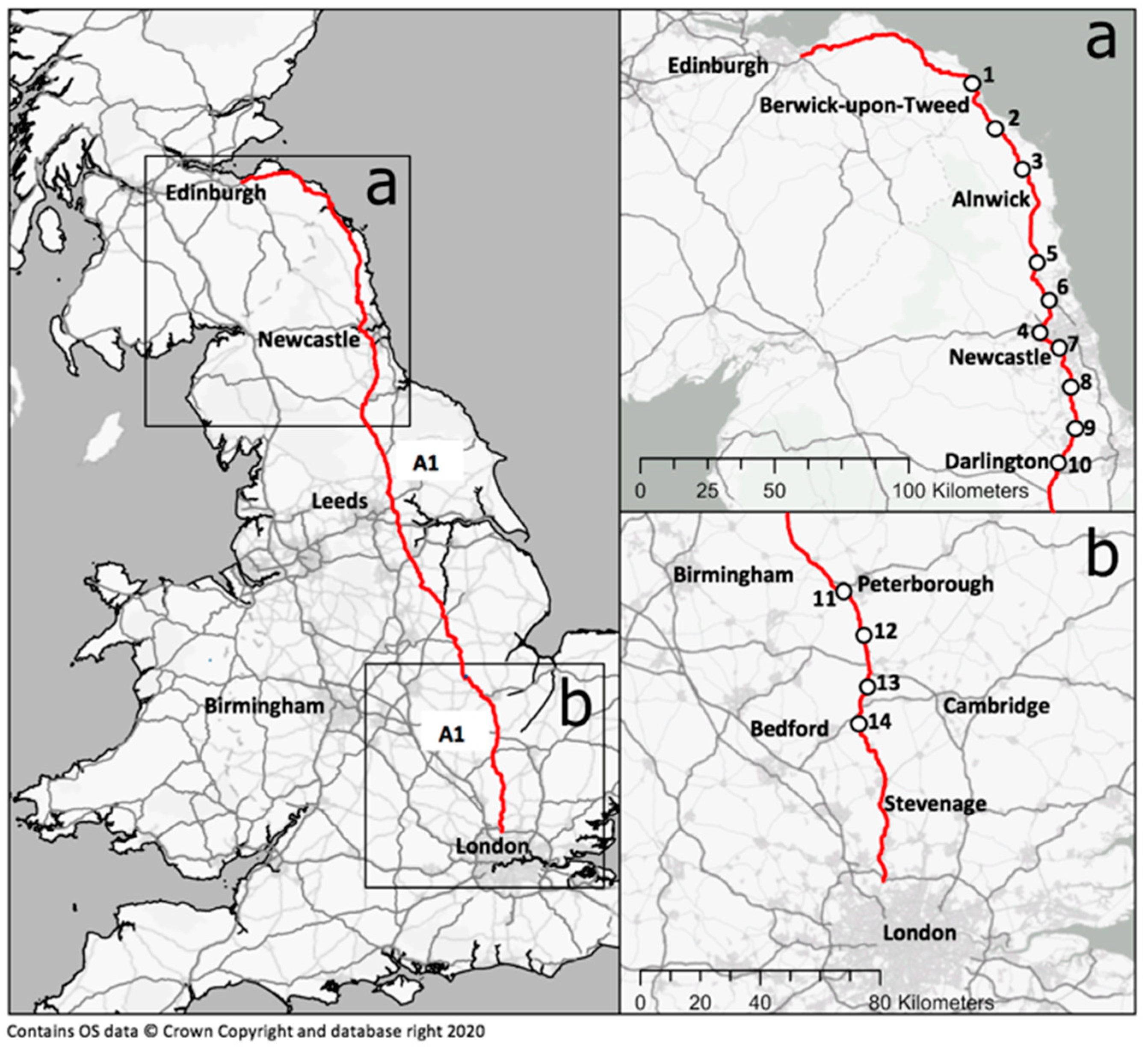Coatings 11 00735 g001