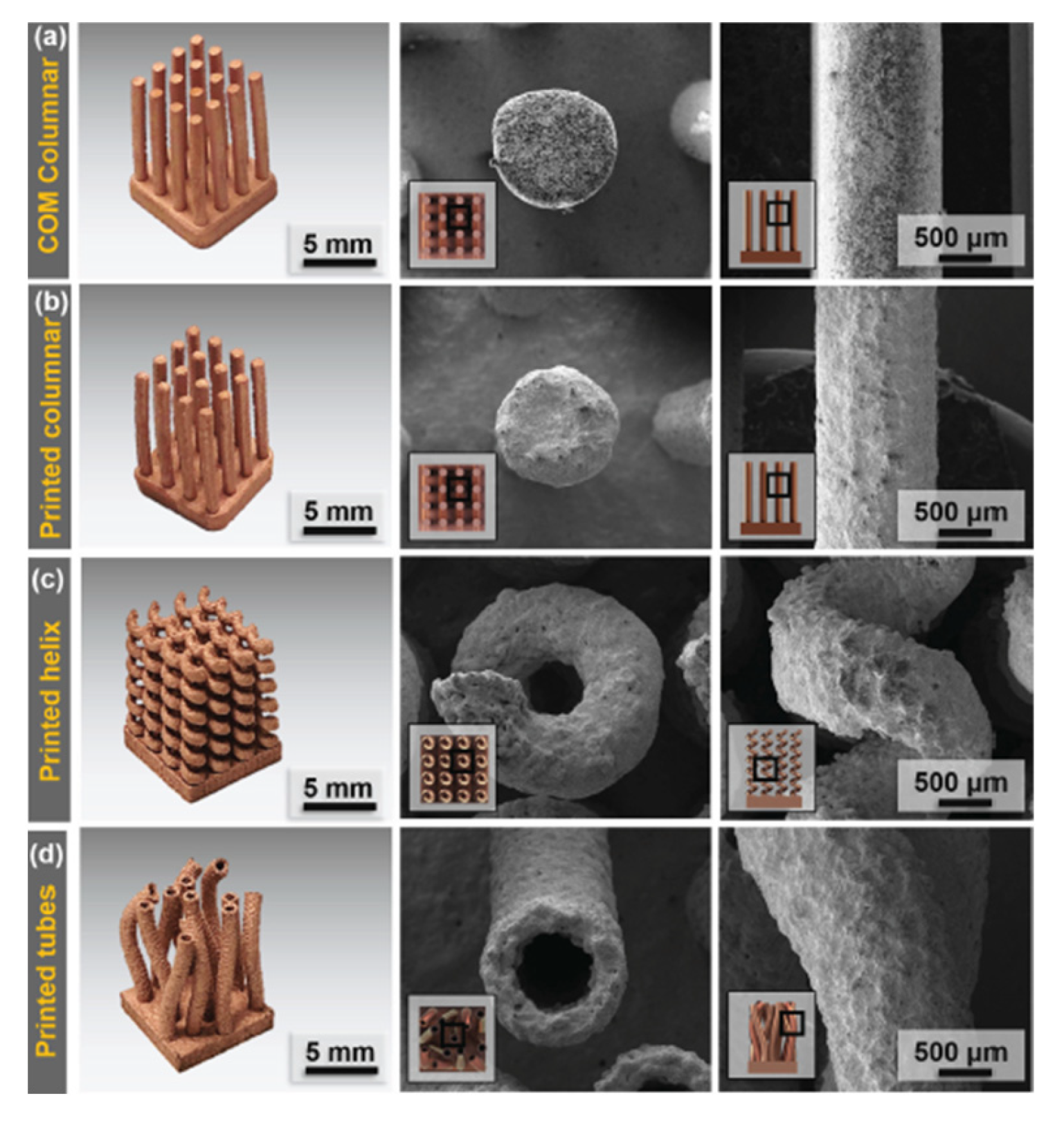 Coatings 11 00740 g006